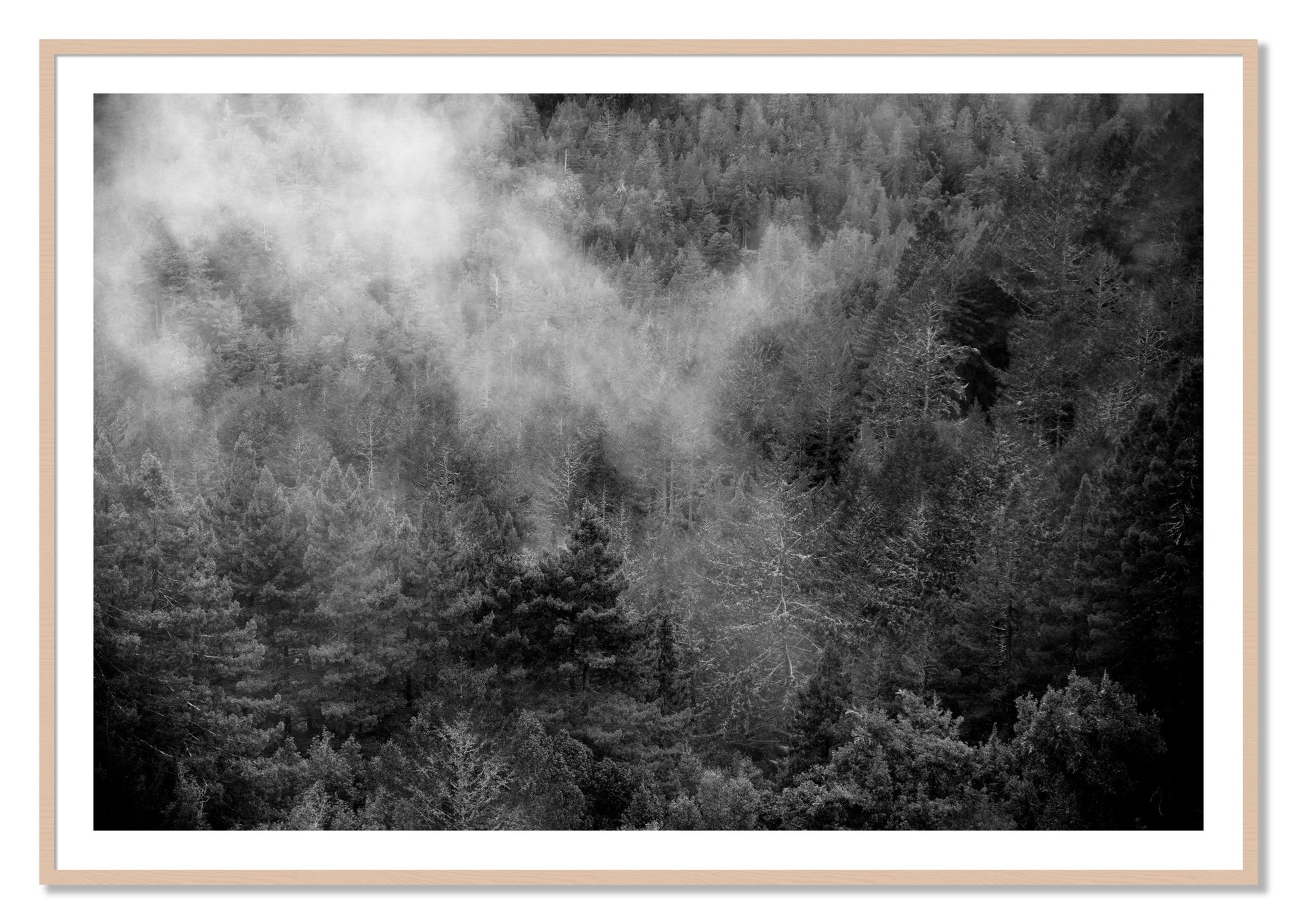 Framed photograph of Muir by Dylan Ozanich, Maple frame, Borders