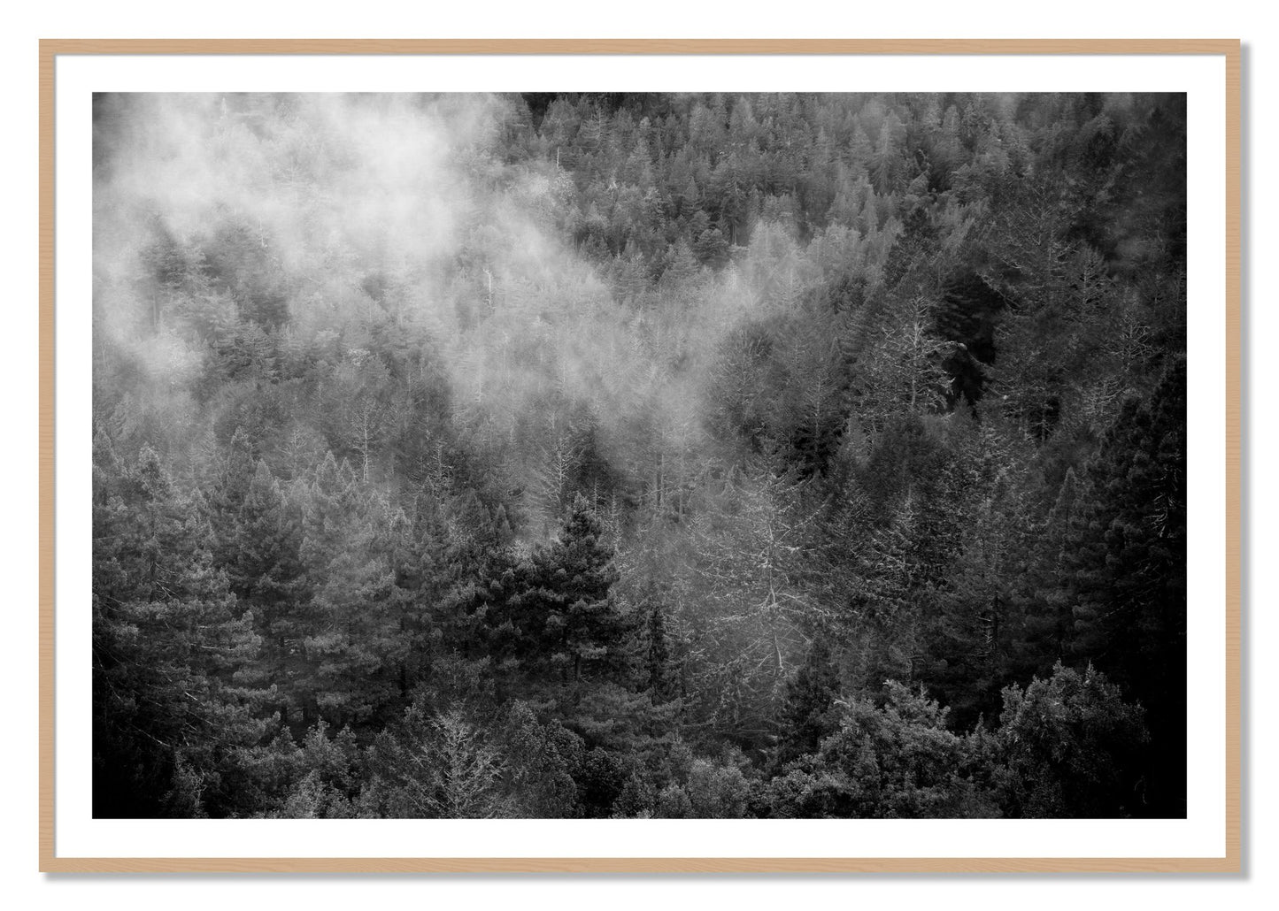 Framed photograph of Muir by Dylan Ozanich, Oak frame, Borders