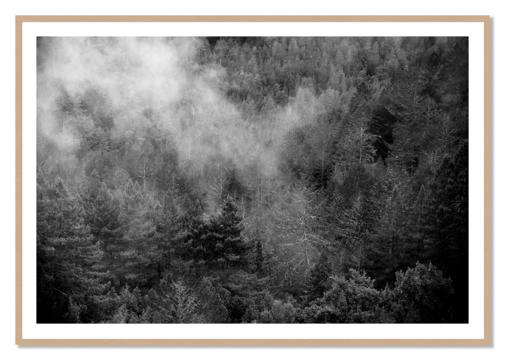 Framed photograph of Muir by Dylan Ozanich, Oak frame, Borders