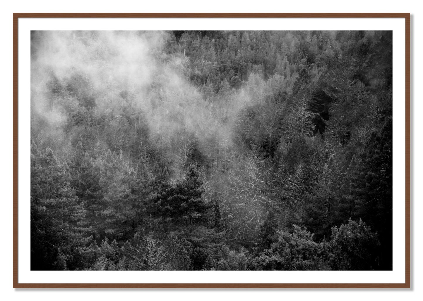 Framed photograph of Muir by Dylan Ozanich, Walnut frame, Borders