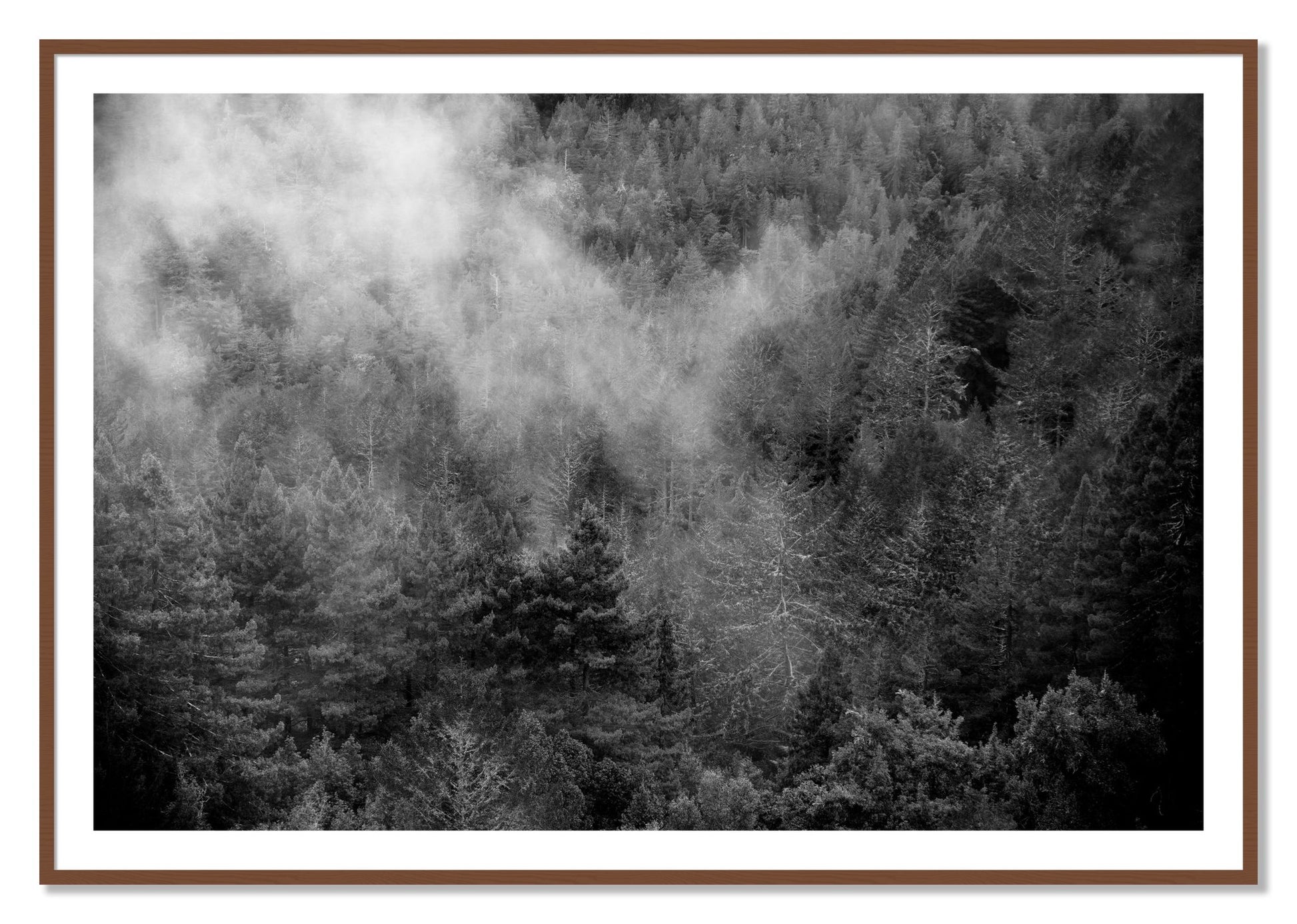 Framed photograph of Muir by Dylan Ozanich, Walnut frame, Borders