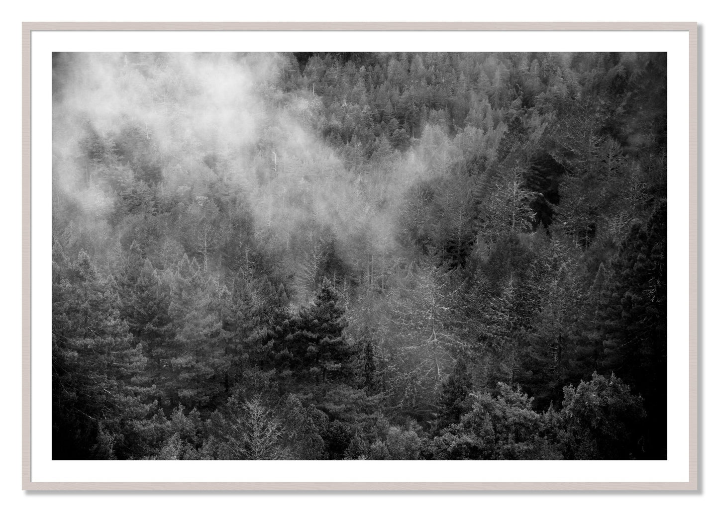 Framed photograph of Muir by Dylan Ozanich, White Maple frame, Borders