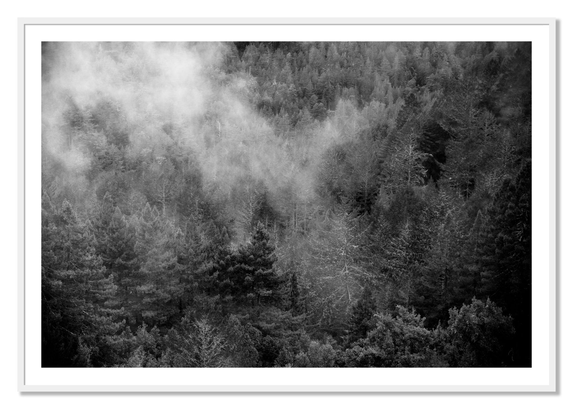 Framed photograph of Muir by Dylan Ozanich, White frame, Borders