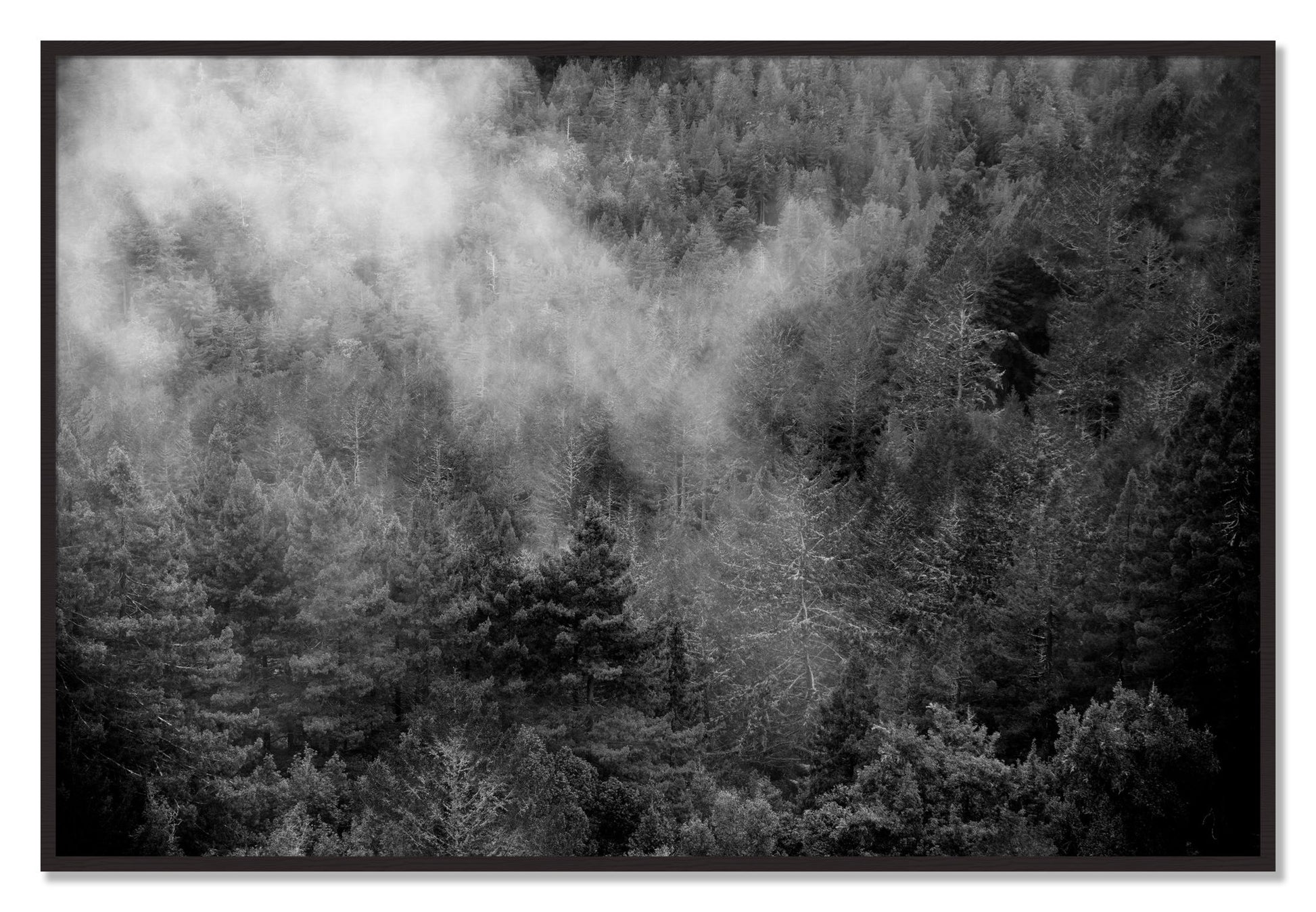 Framed photograph of Muir by Dylan Ozanich, Black Walnut frame, Full Bleed