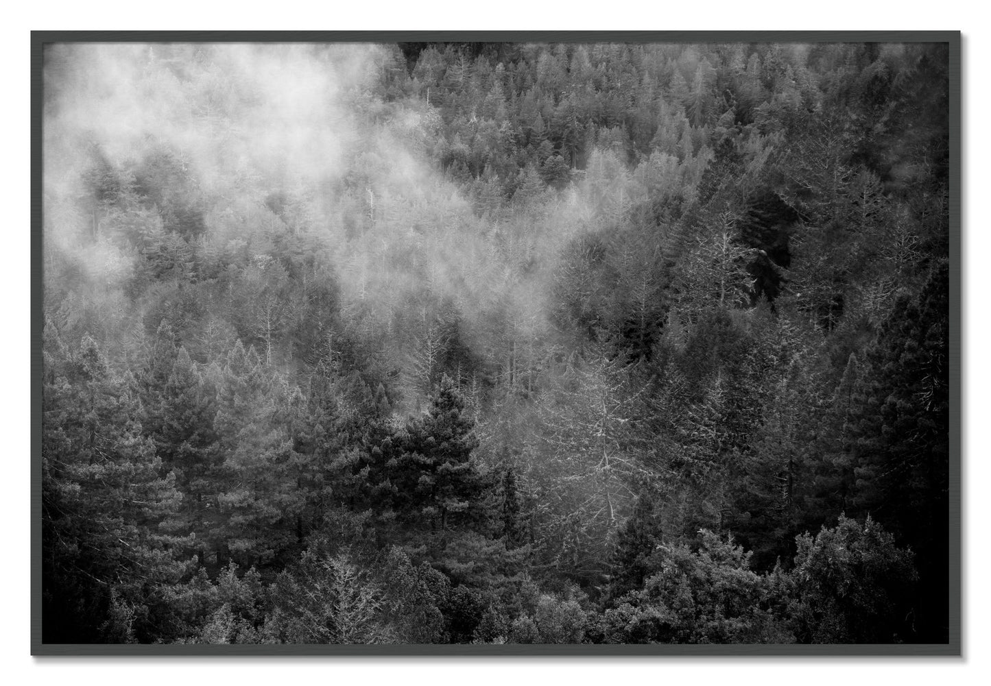 Framed photograph of Muir by Dylan Ozanich, Grey frame, Full Bleed