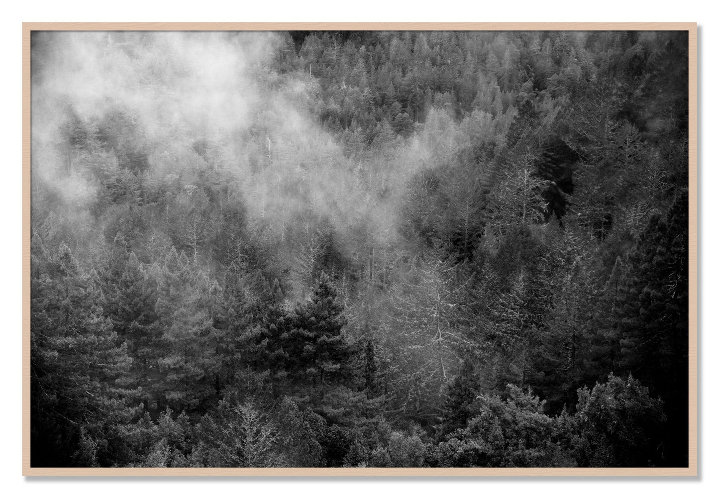 Framed photograph of Muir by Dylan Ozanich, Maple frame, Full Bleed