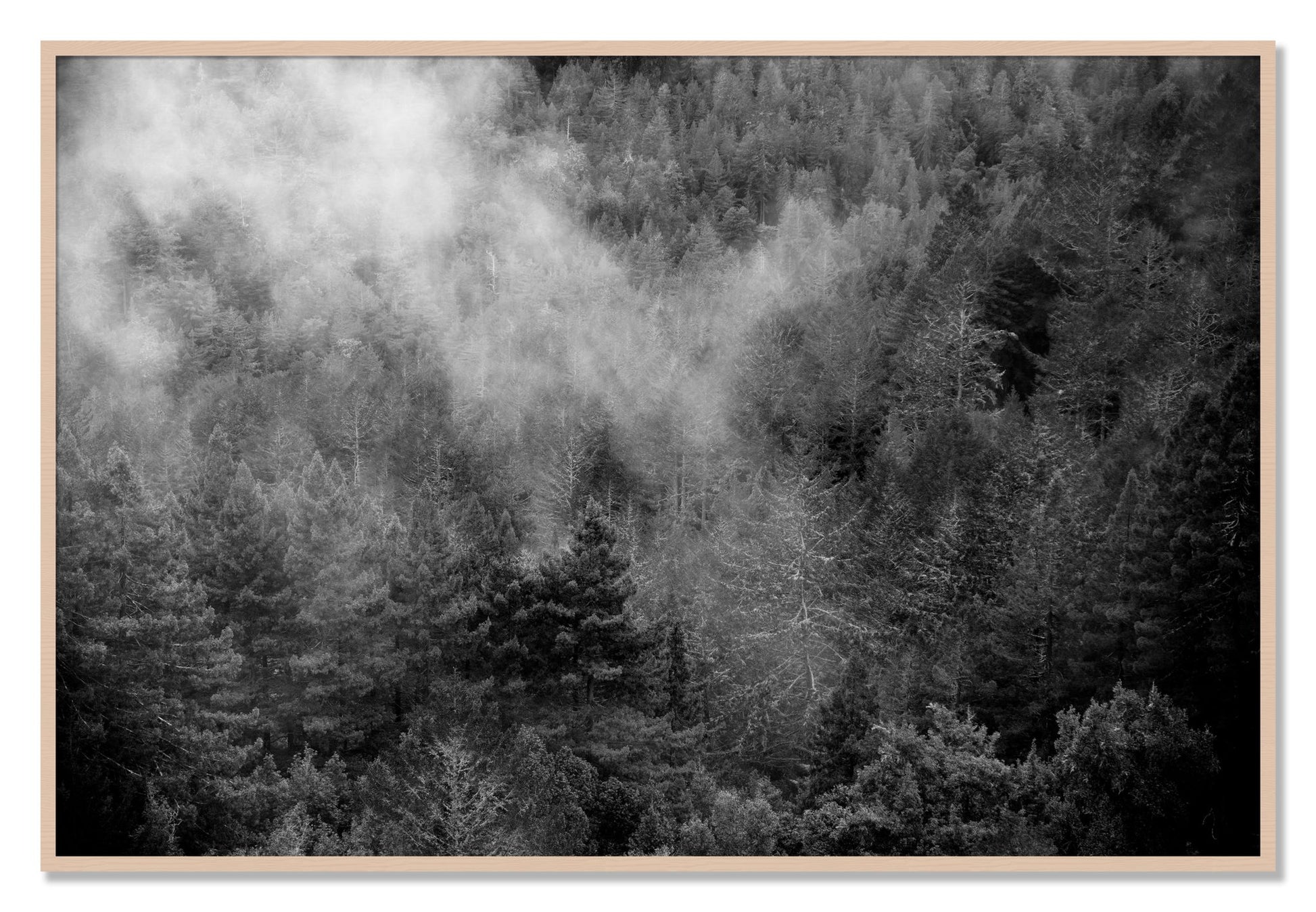 Framed photograph of Muir by Dylan Ozanich, Maple frame, Full Bleed