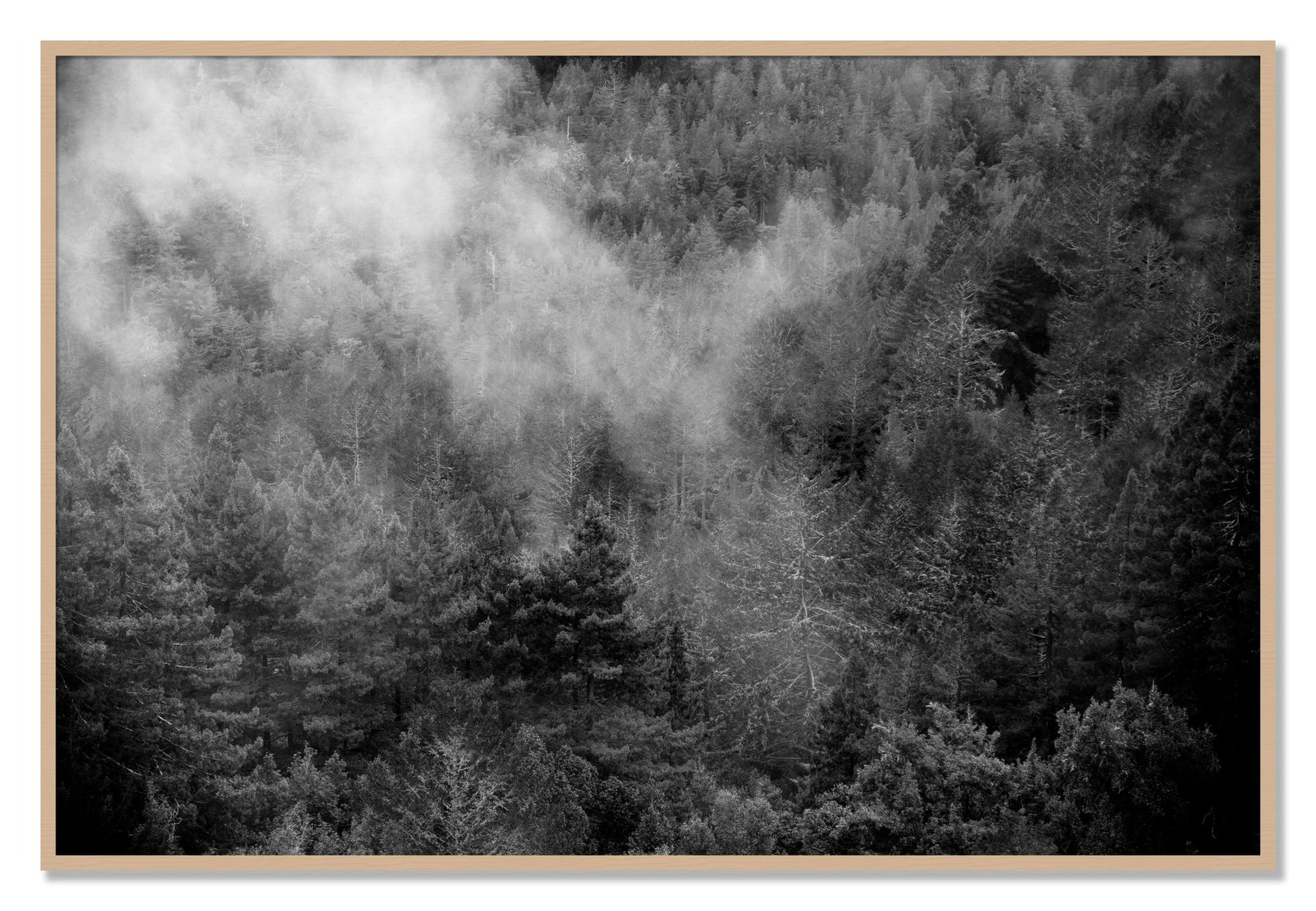 Framed photograph of Muir by Dylan Ozanich, Oak frame, Full Bleed