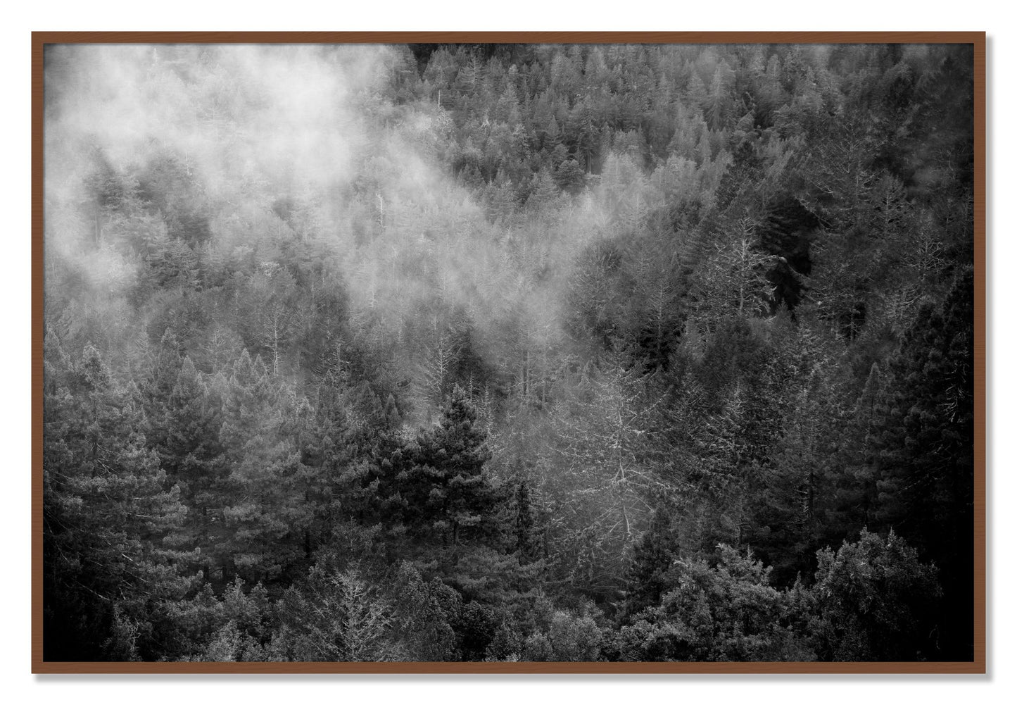 Framed photograph of Muir by Dylan Ozanich, Walnut frame, Full Bleed