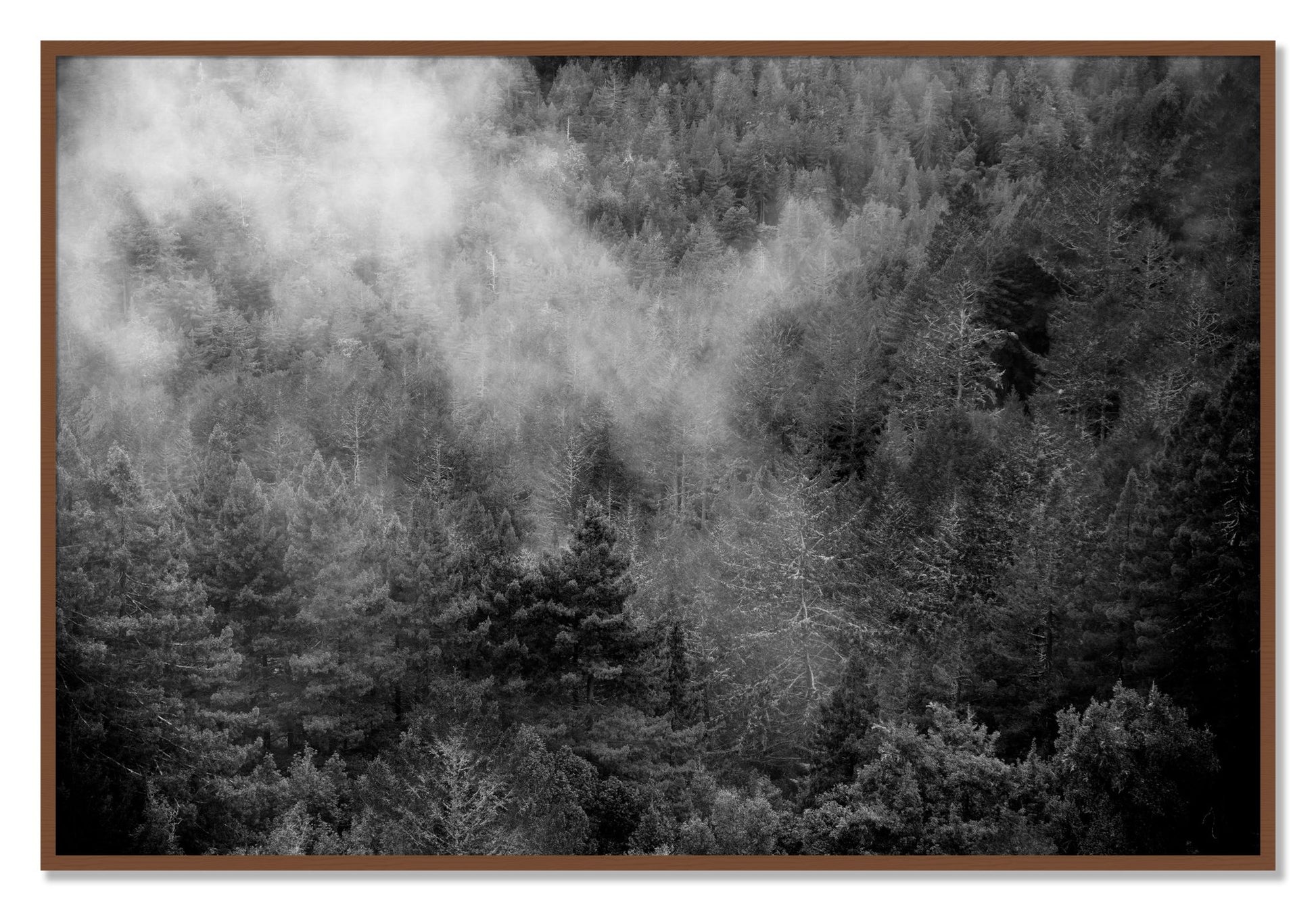 Framed photograph of Muir by Dylan Ozanich, Walnut frame, Full Bleed