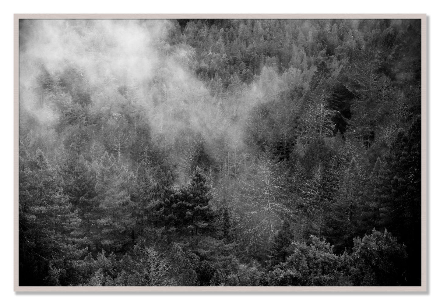 Framed photograph of Muir by Dylan Ozanich, White Maple frame, Full Bleed