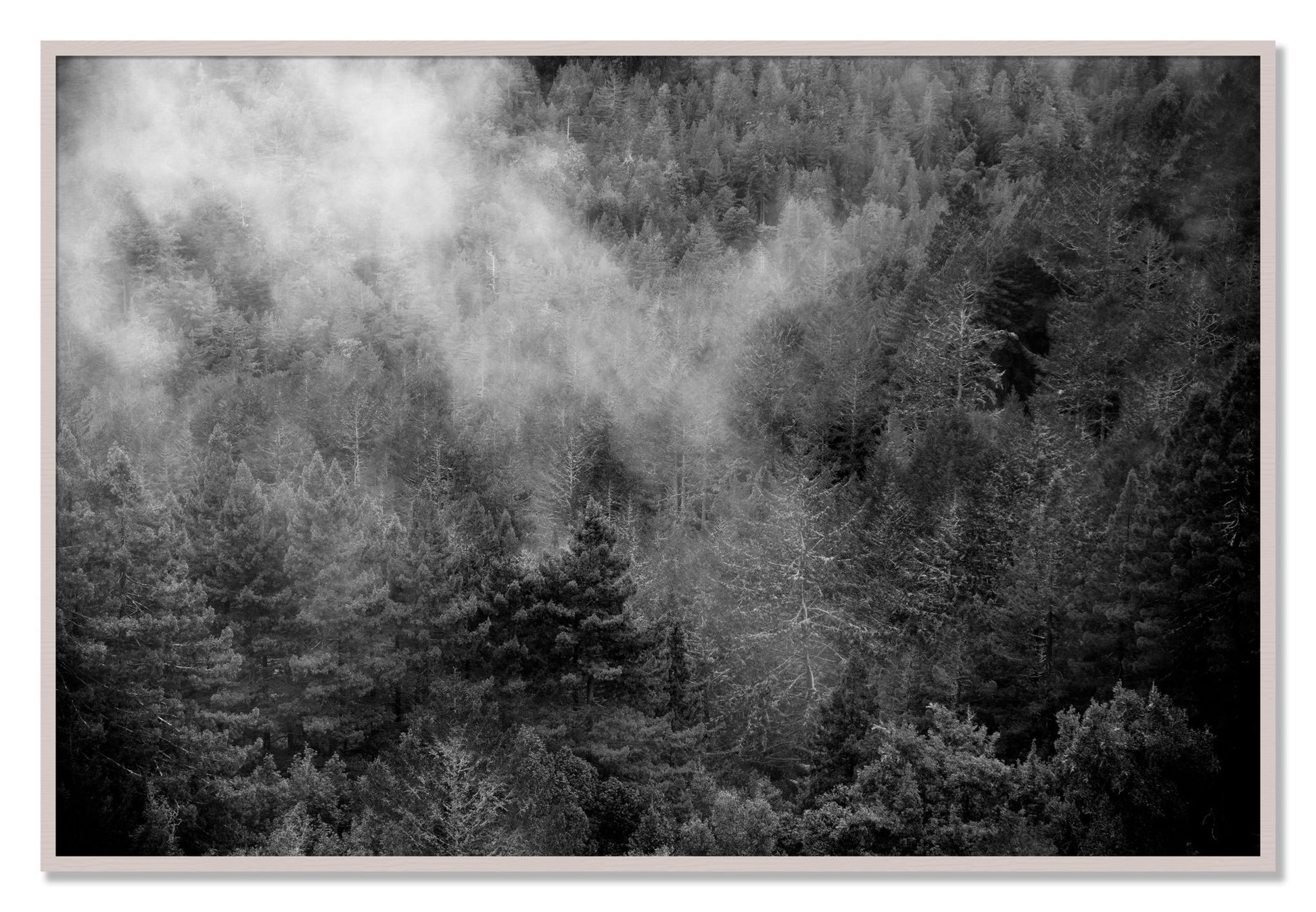 Framed photograph of Muir by Dylan Ozanich, White Maple frame, Full Bleed