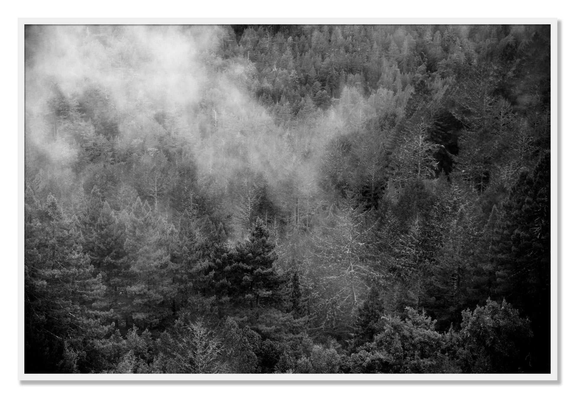 Framed photograph of Muir by Dylan Ozanich, White frame, Full Bleed