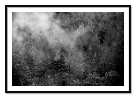 Framed photograph of Muir by Dylan Ozanich, Black frame, Borders