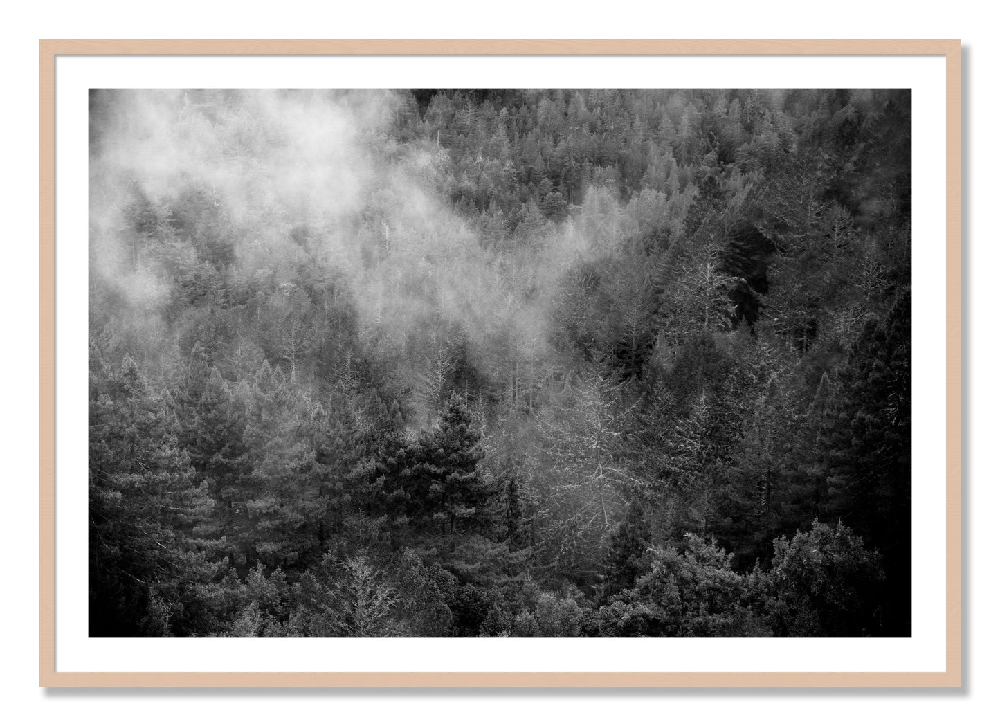 Framed photograph of Muir by Dylan Ozanich, Maple frame, Borders