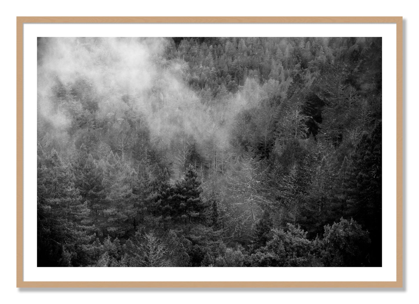 Framed photograph of Muir by Dylan Ozanich, Oak frame, Borders