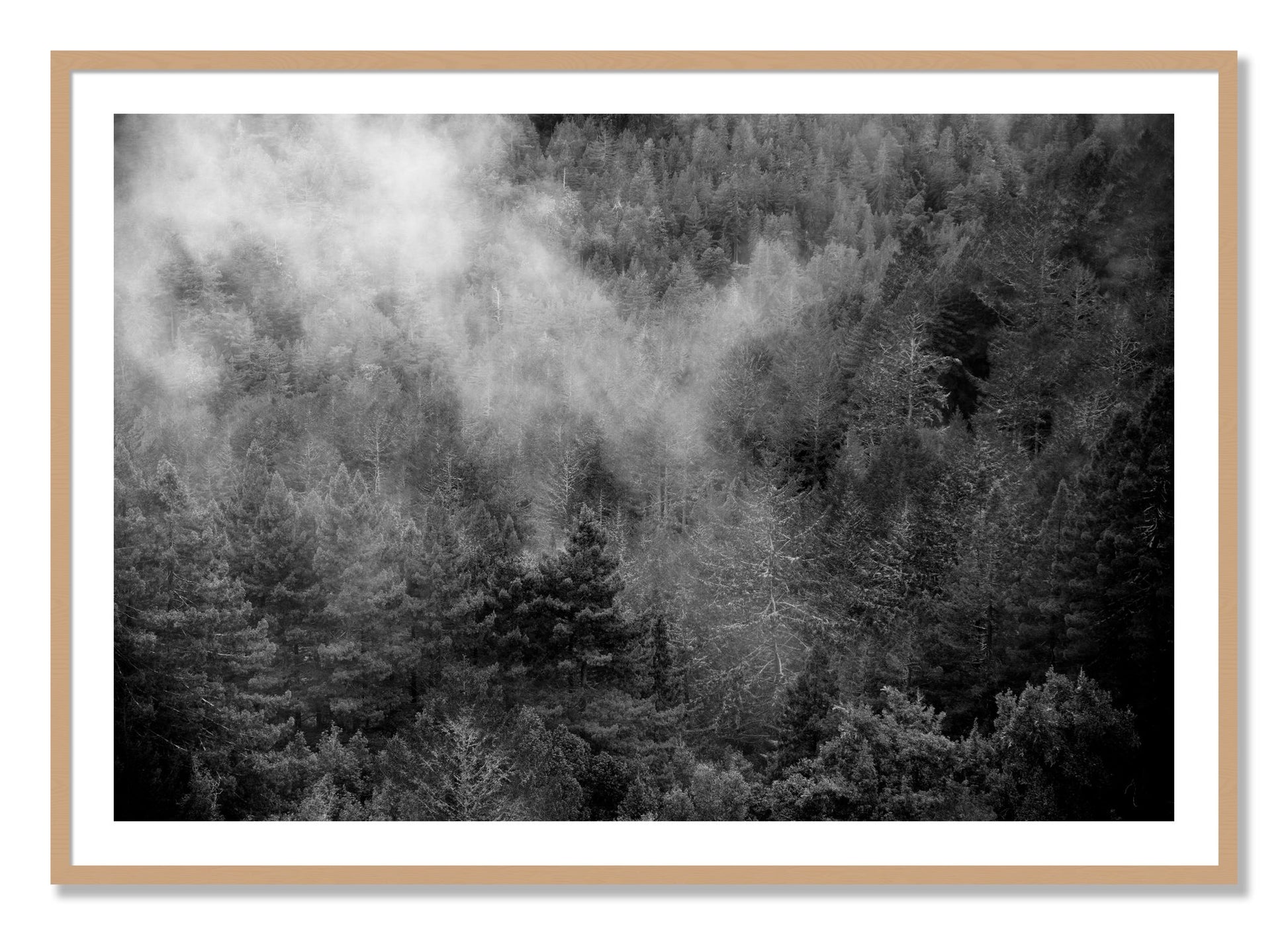 Framed photograph of Muir by Dylan Ozanich, Oak frame, Borders