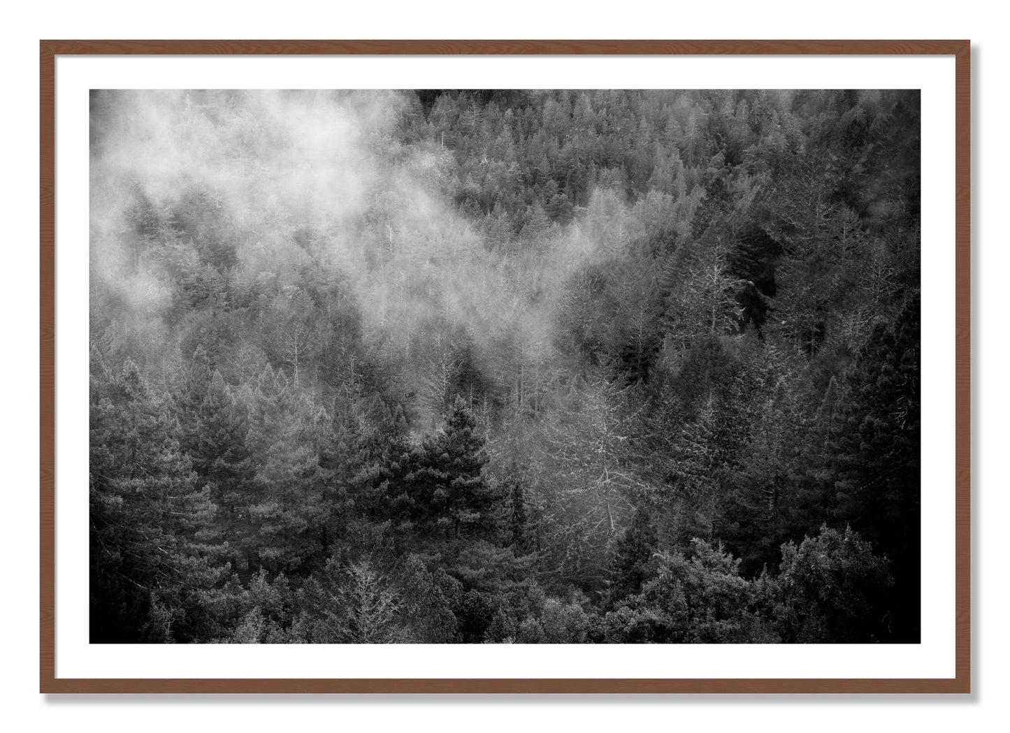 Framed photograph of Muir by Dylan Ozanich, Walnut frame, Borders
