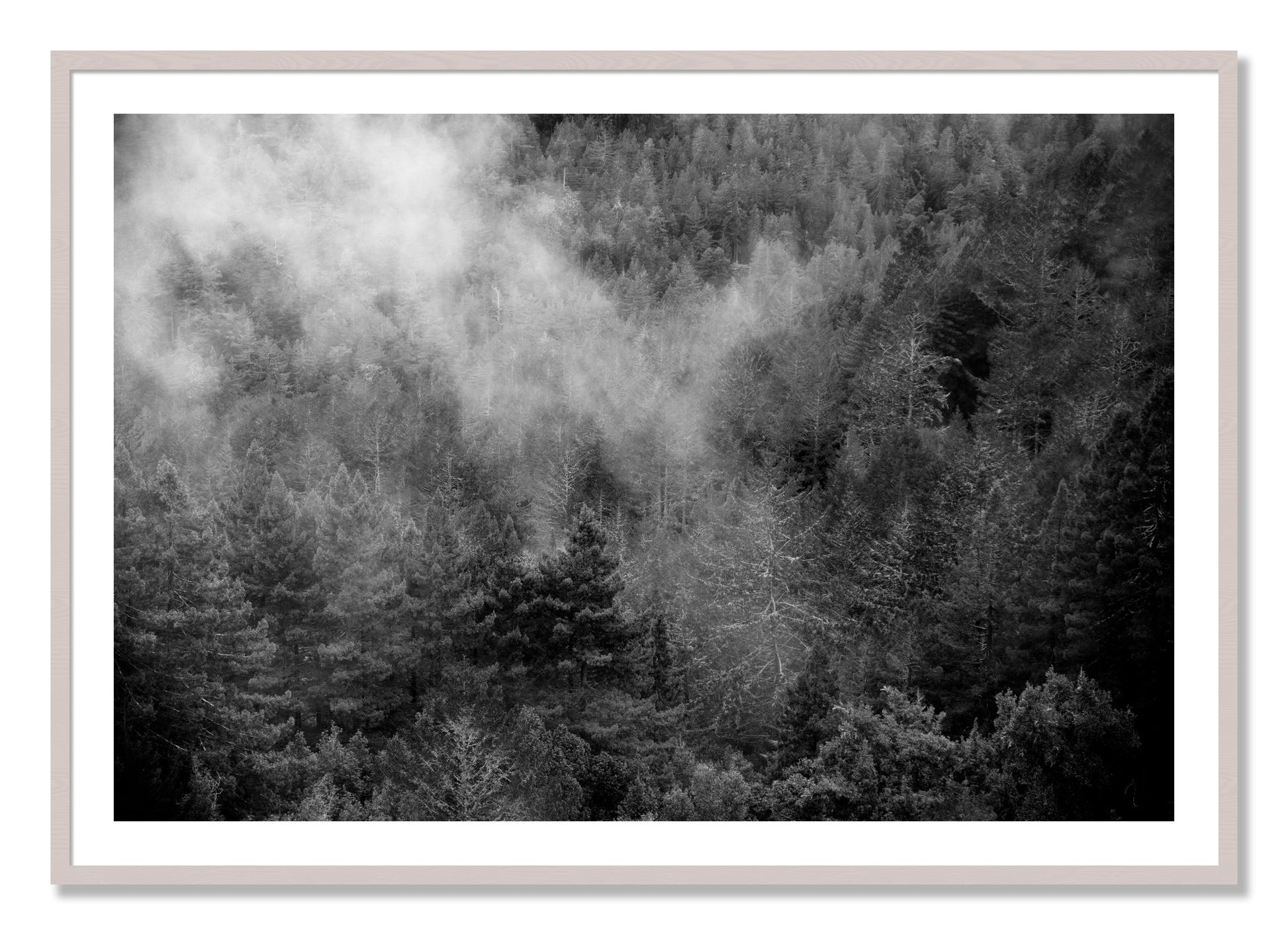Framed photograph of Muir by Dylan Ozanich, White Maple frame, Borders