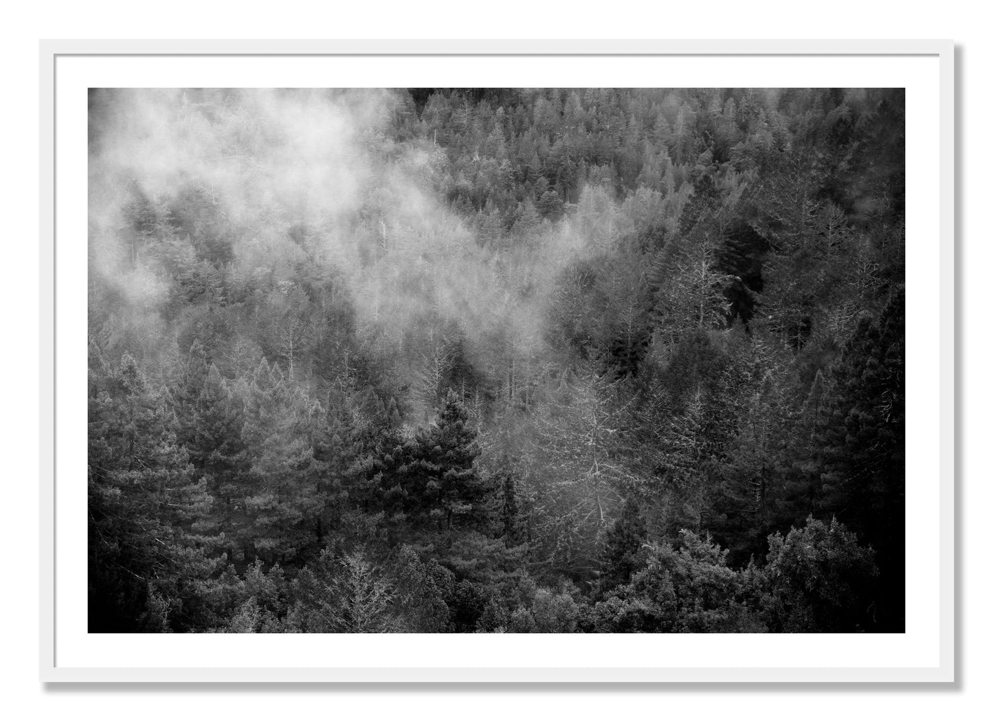 Framed photograph of Muir by Dylan Ozanich, White frame, Borders