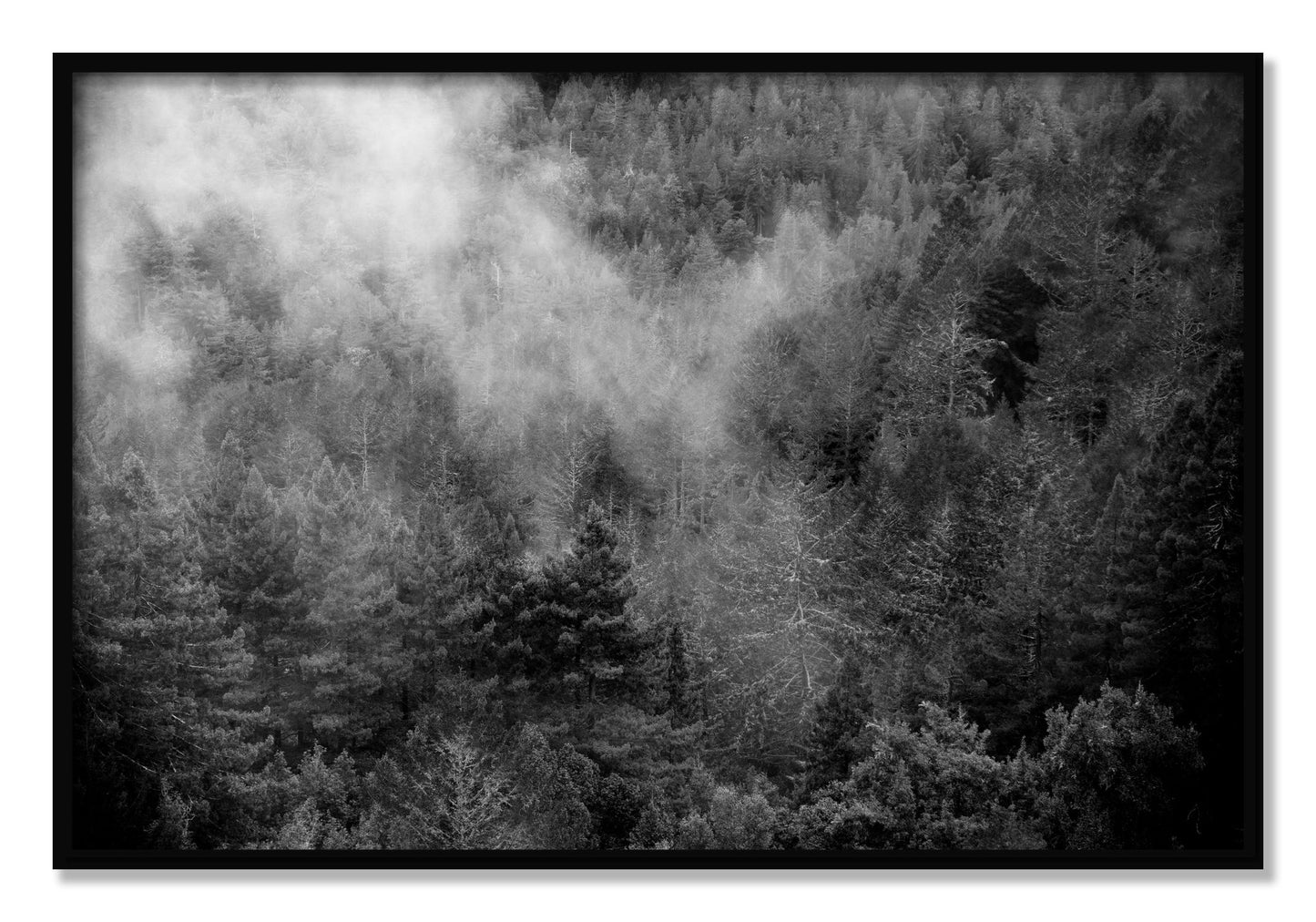 Framed photograph of Muir by Dylan Ozanich, Black frame, Full Bleed