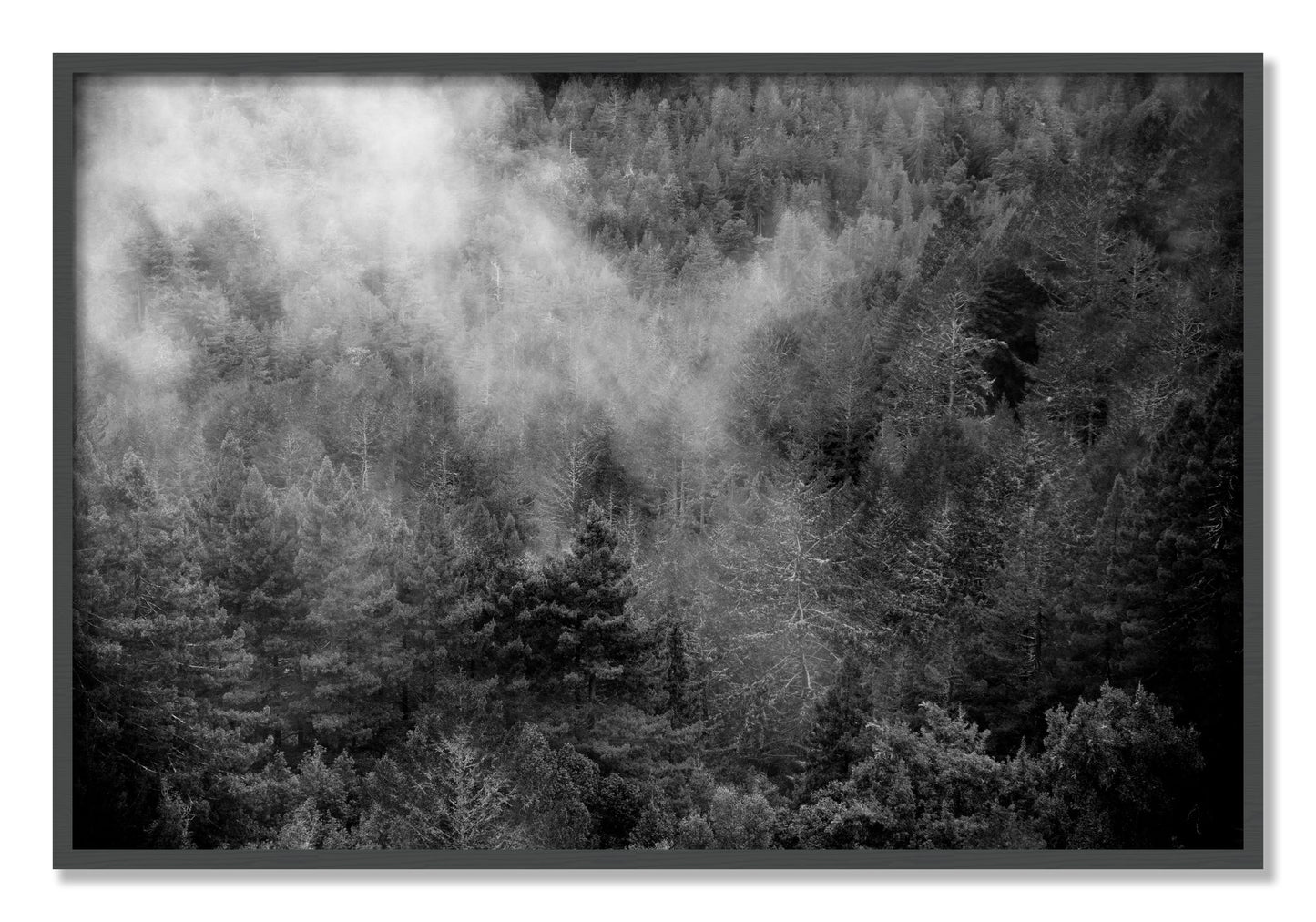 Framed photograph of Muir by Dylan Ozanich, Grey frame, Full Bleed