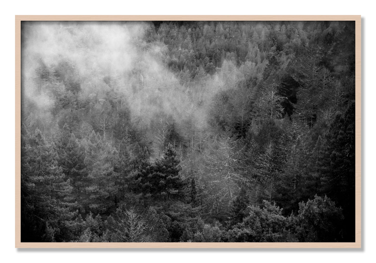 Framed photograph of Muir by Dylan Ozanich, Maple frame, Full Bleed