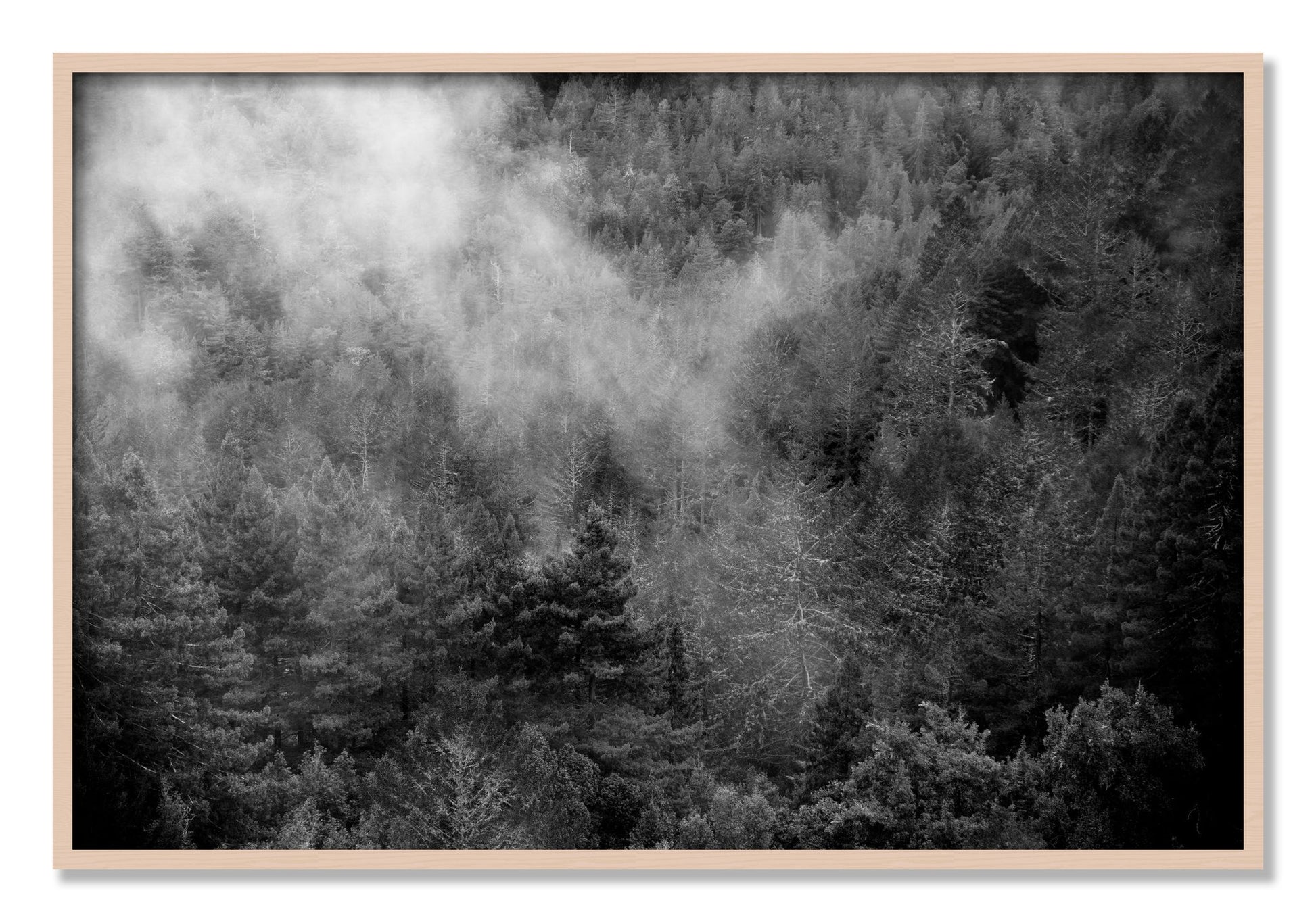 Framed photograph of Muir by Dylan Ozanich, Maple frame, Full Bleed