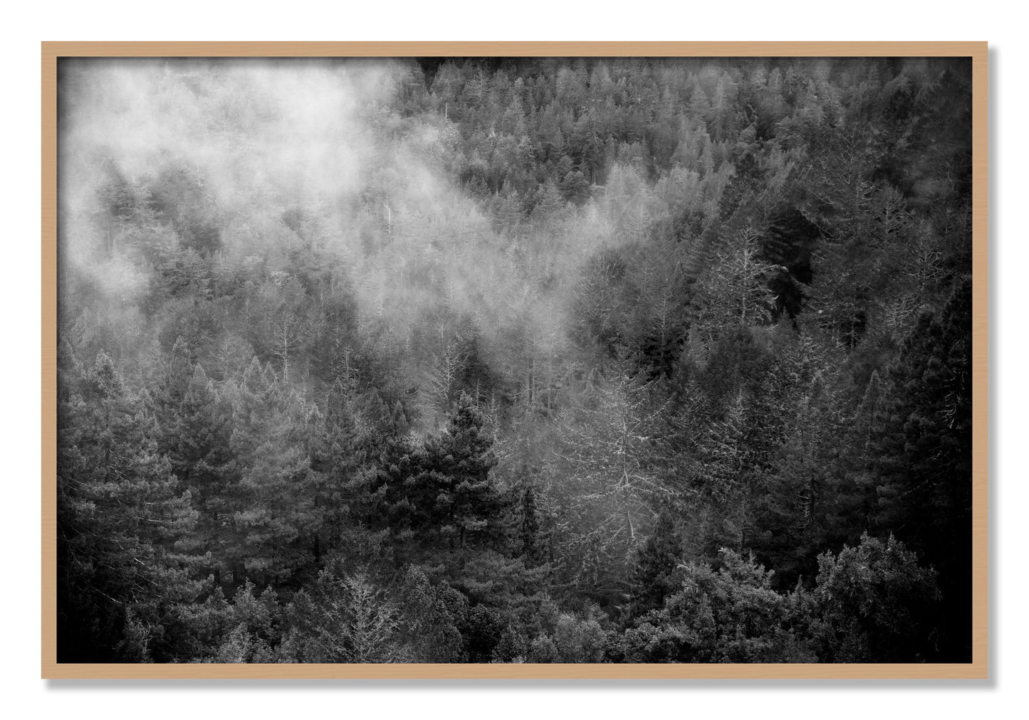 Framed photograph of Muir by Dylan Ozanich, Oak frame, Full Bleed