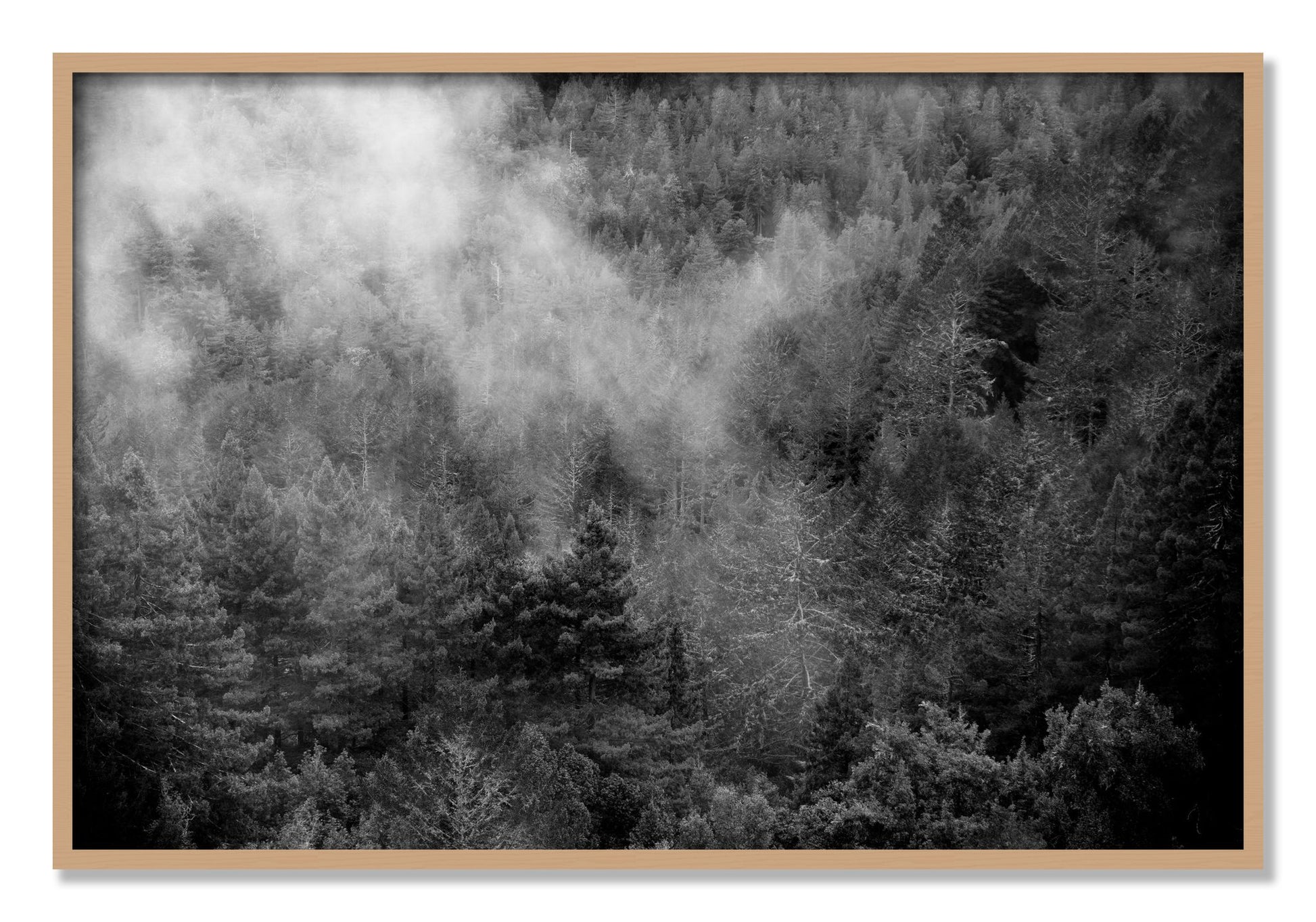 Framed photograph of Muir by Dylan Ozanich, Oak frame, Full Bleed