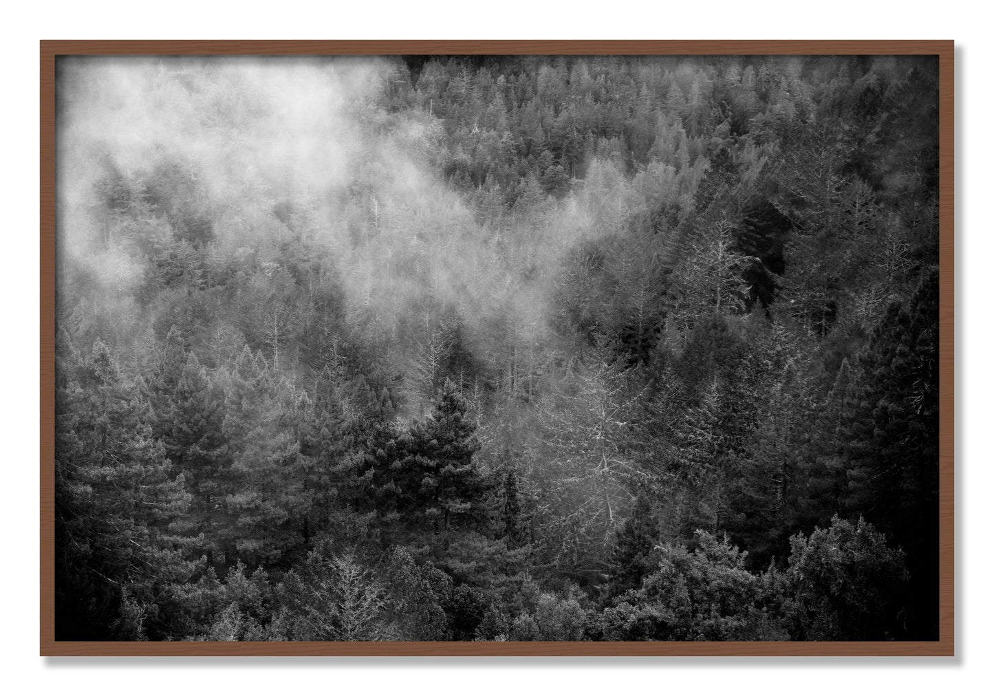Framed photograph of Muir by Dylan Ozanich, Walnut frame, Full Bleed