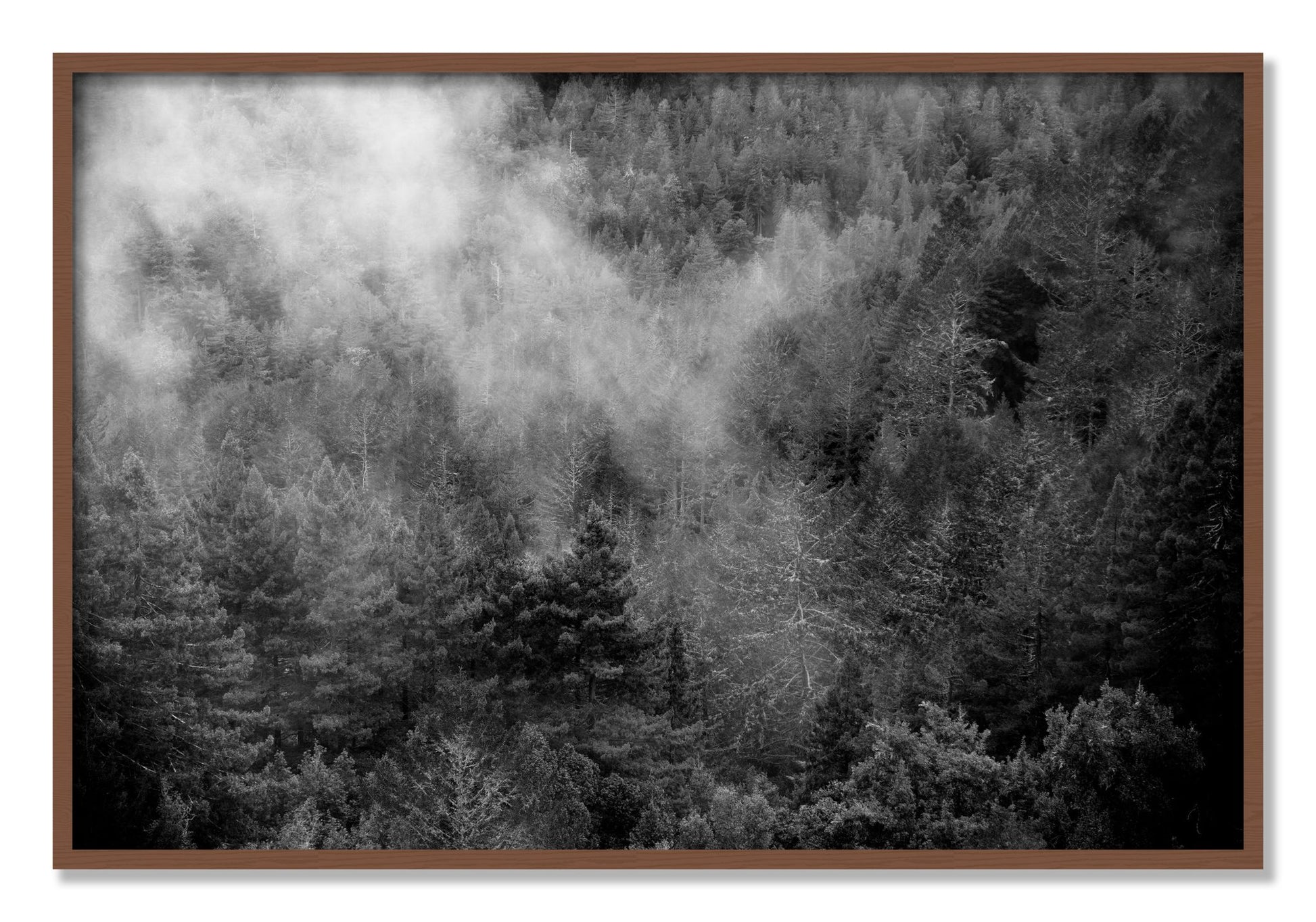 Framed photograph of Muir by Dylan Ozanich, Walnut frame, Full Bleed