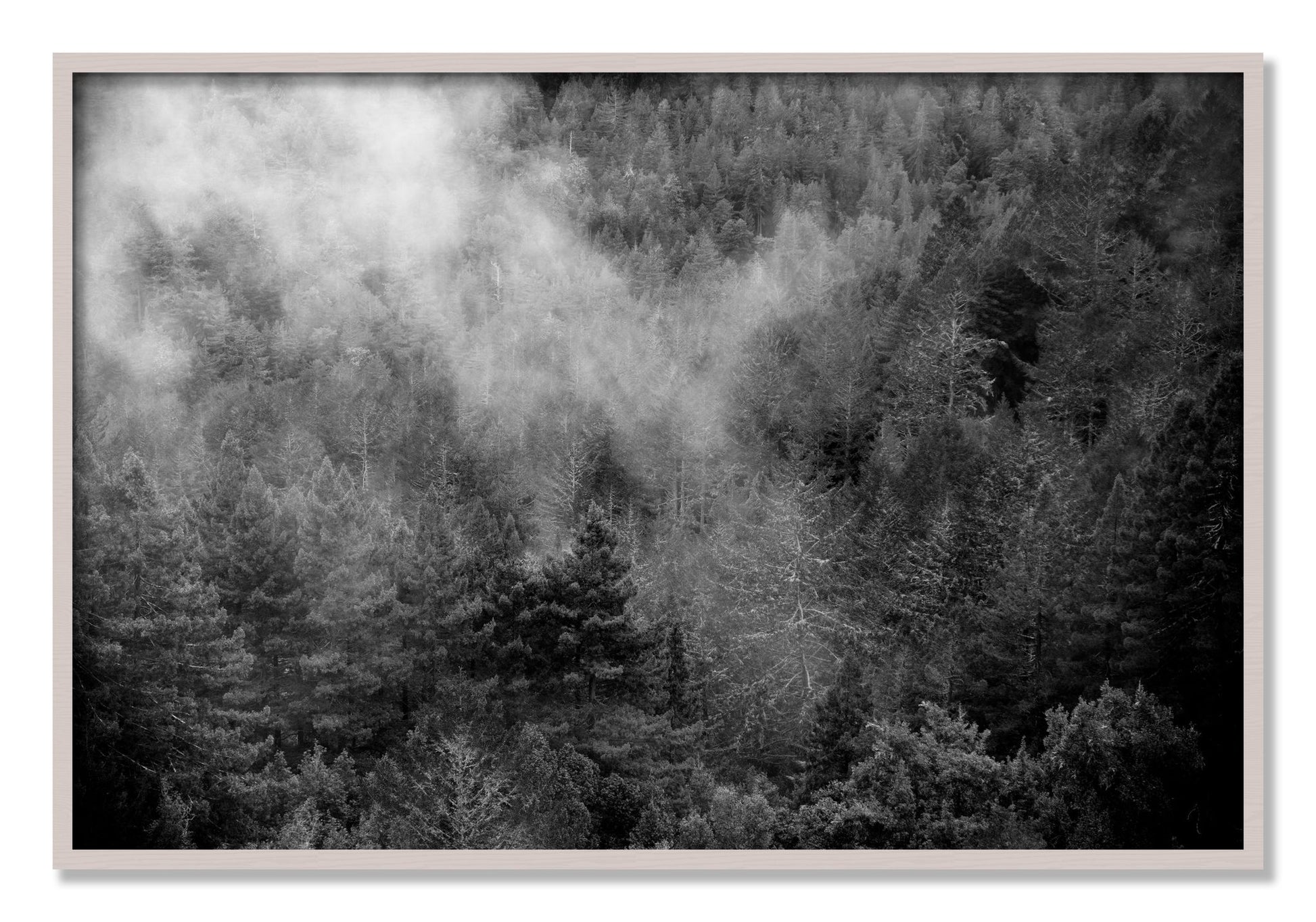 Framed photograph of Muir by Dylan Ozanich, White Maple frame, Full Bleed