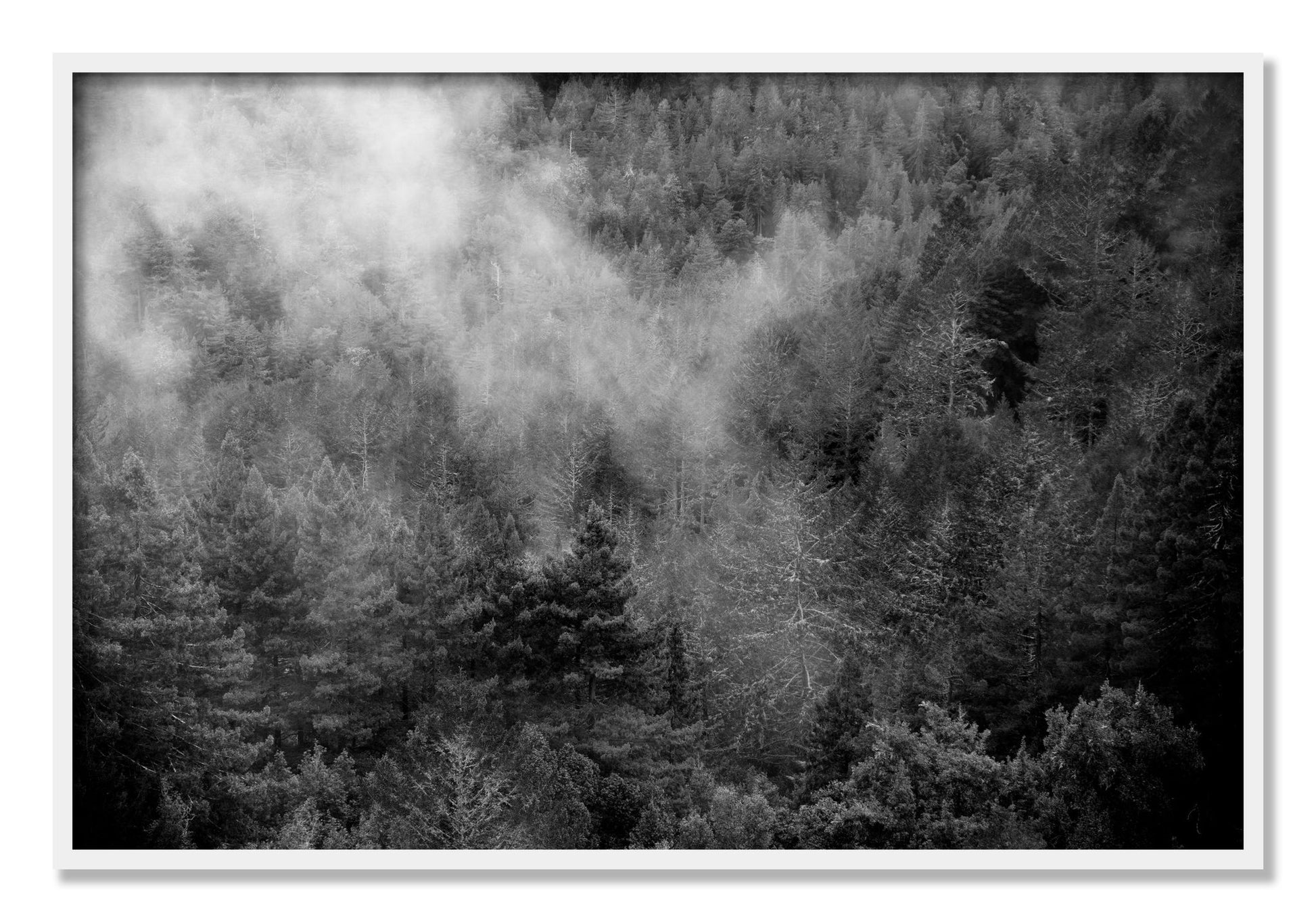 Framed photograph of Muir by Dylan Ozanich, White frame, Full Bleed
