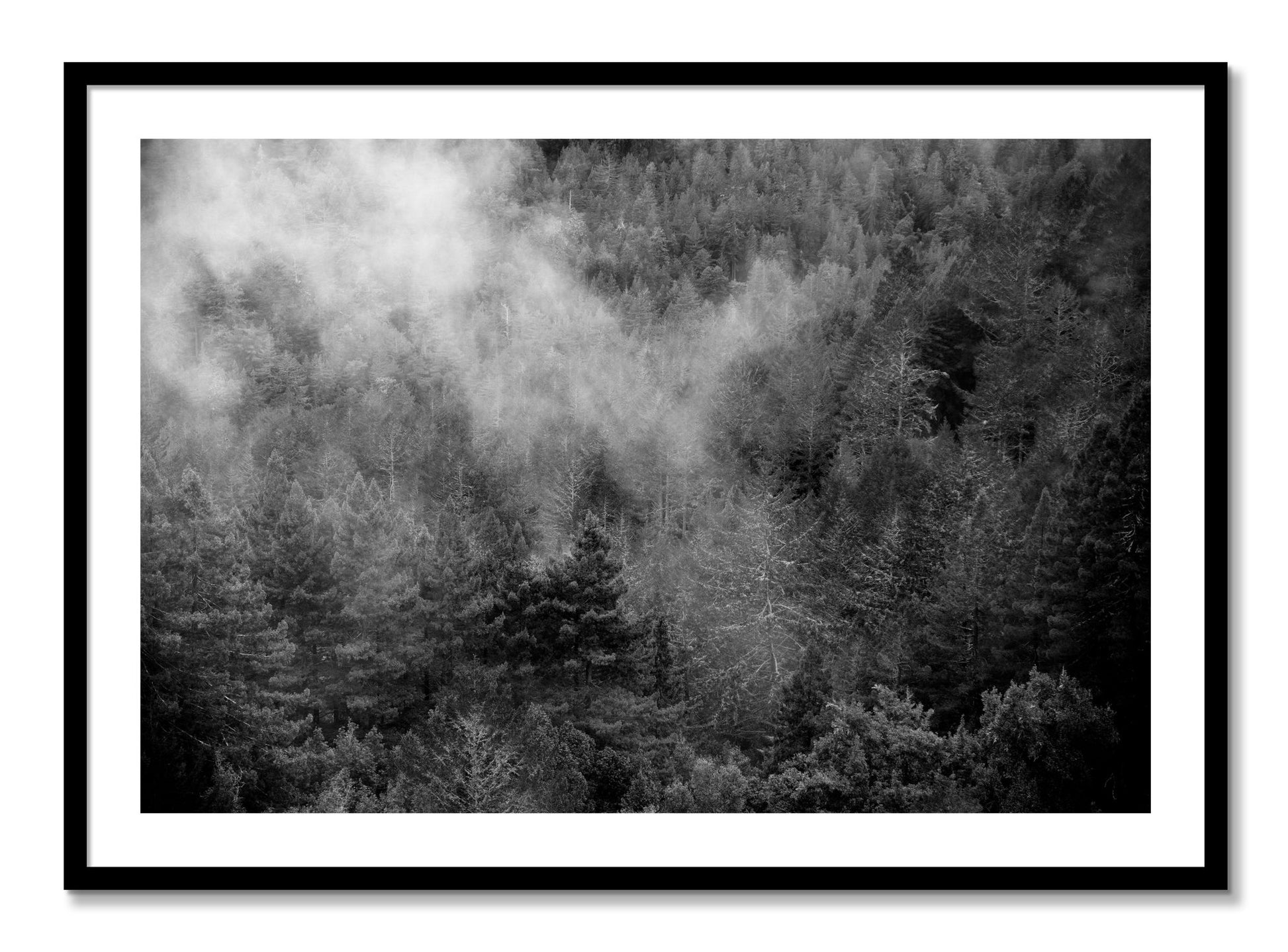 Framed photograph of Muir by Dylan Ozanich, Black frame, Borders