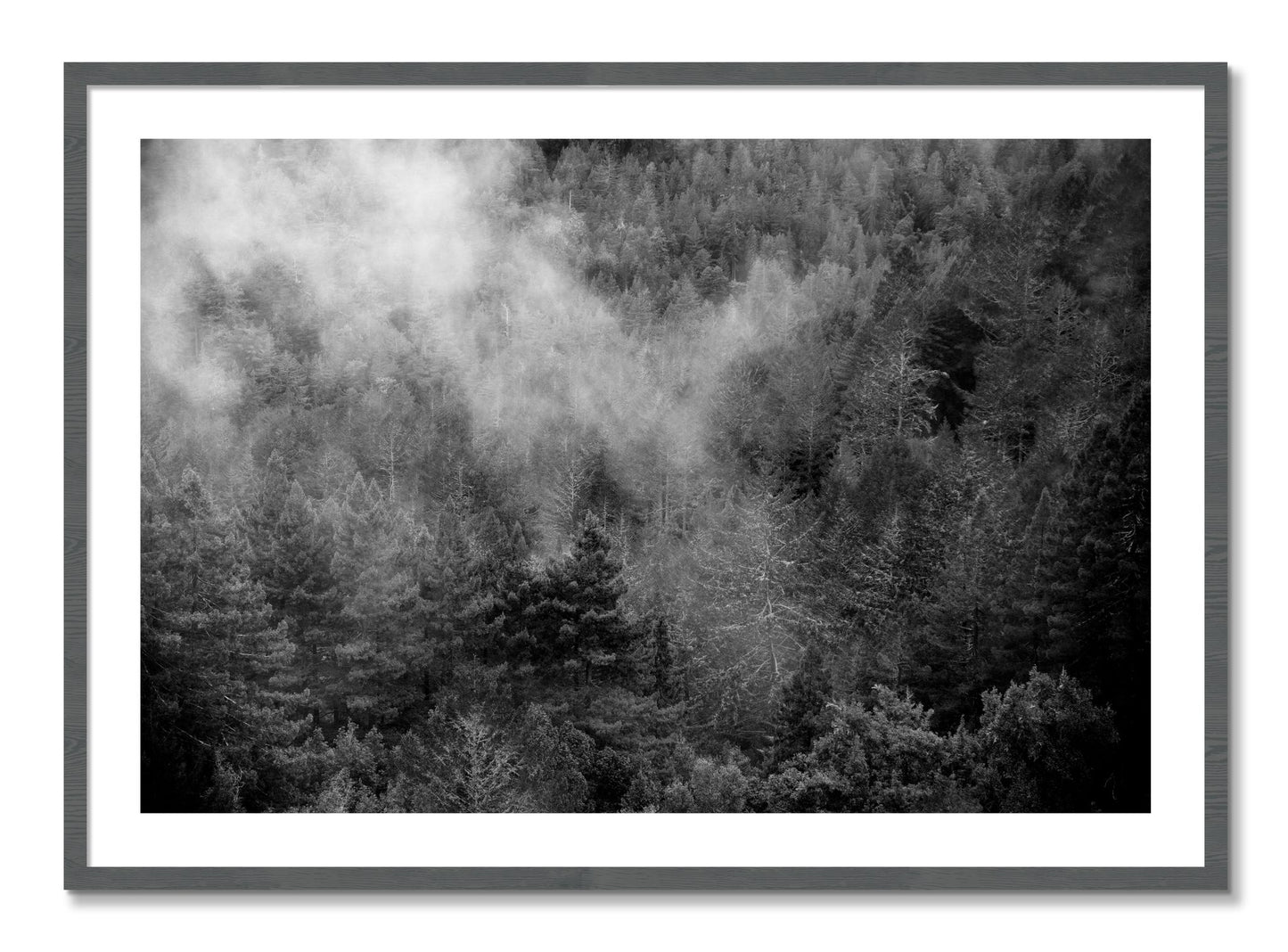Framed photograph of Muir by Dylan Ozanich, Grey frame, Borders