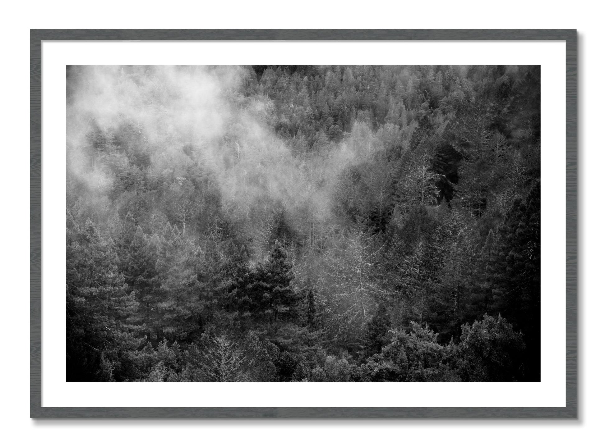 Framed photograph of Muir by Dylan Ozanich, Grey frame, Borders