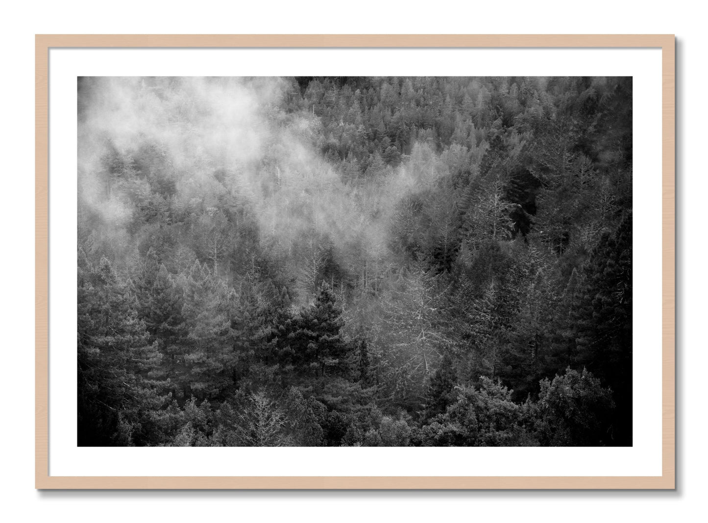 Framed photograph of Muir by Dylan Ozanich, Maple frame, Borders
