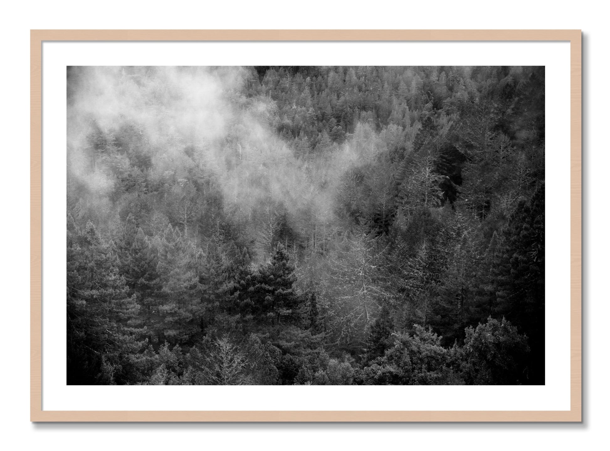 Framed photograph of Muir by Dylan Ozanich, Maple frame, Borders