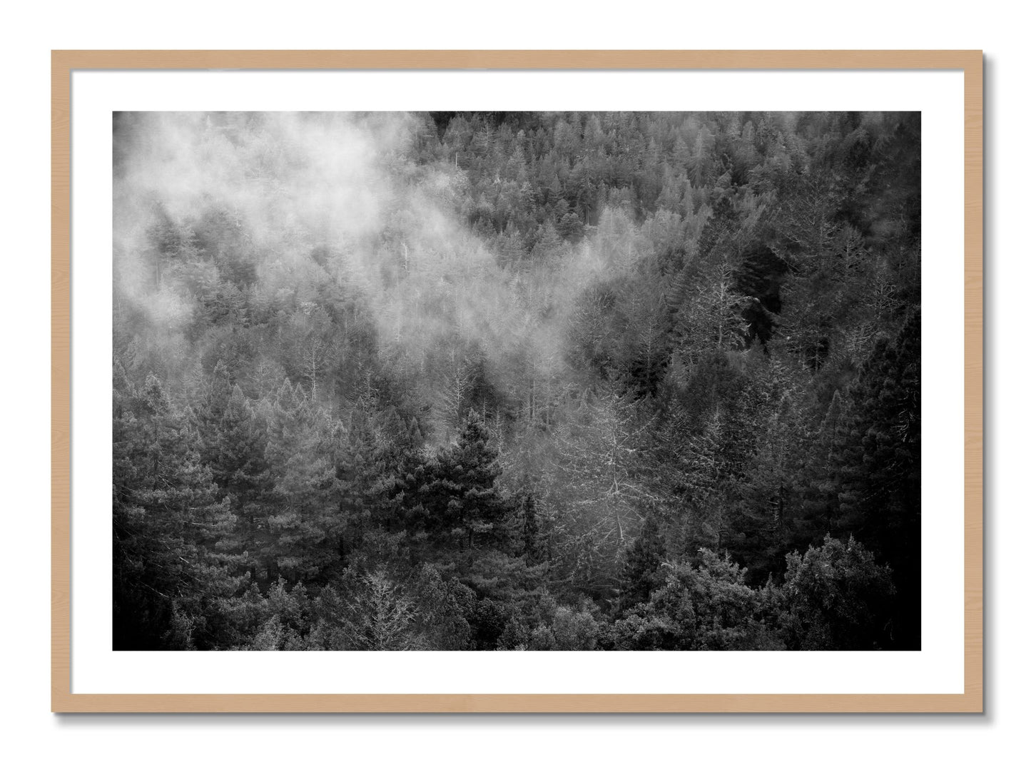 Framed photograph of Muir by Dylan Ozanich, Oak frame, Borders