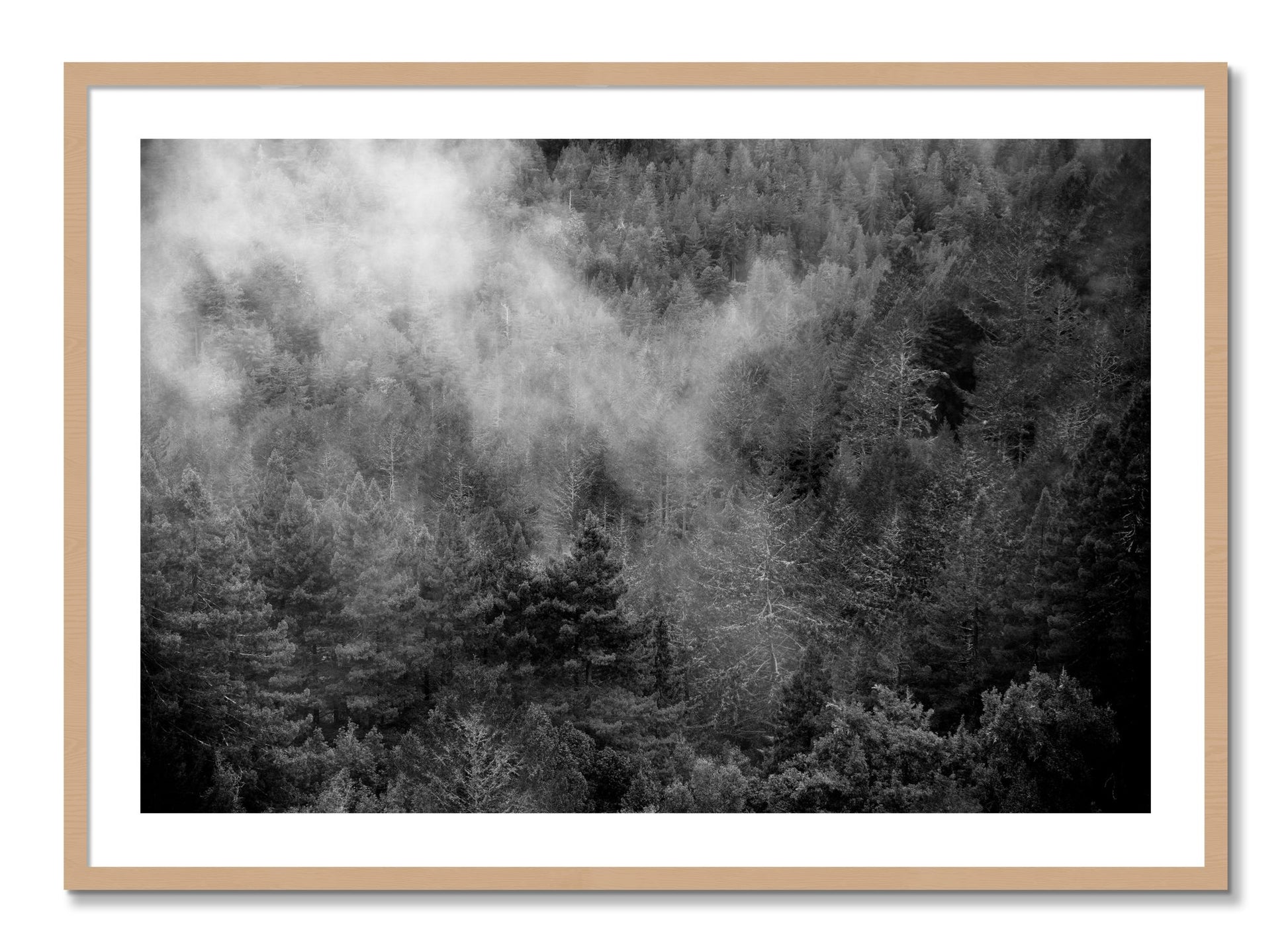 Framed photograph of Muir by Dylan Ozanich, Oak frame, Borders