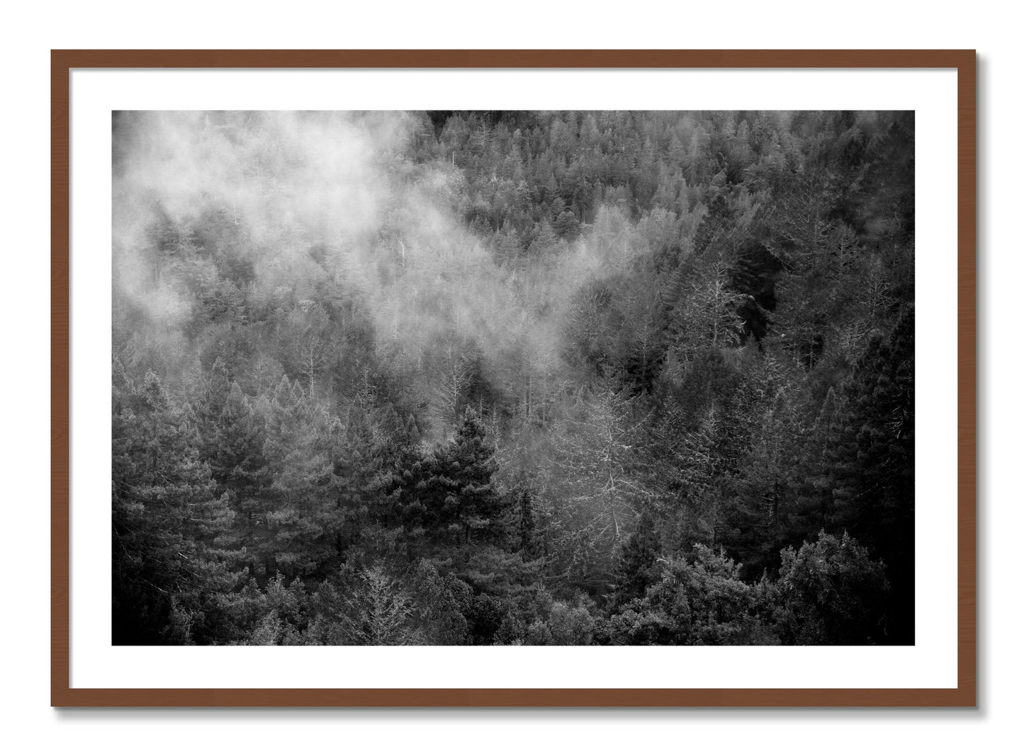 Framed photograph of Muir by Dylan Ozanich, Walnut frame, Borders