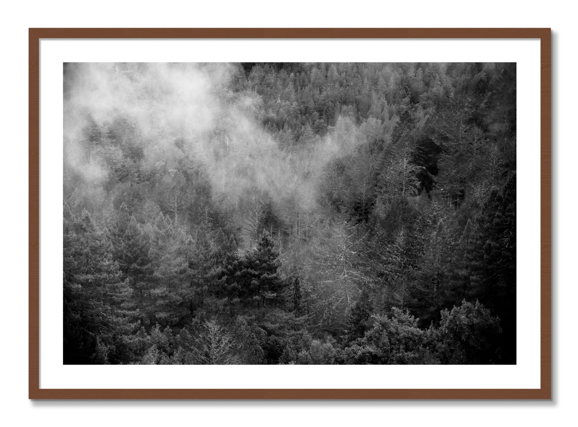 Framed photograph of Muir by Dylan Ozanich, Walnut frame, Borders