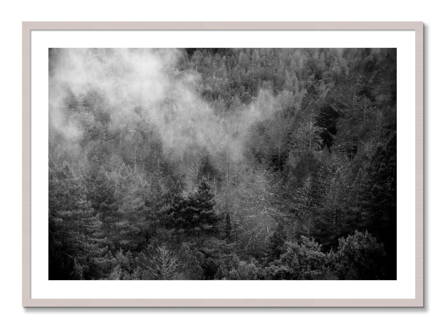 Framed photograph of Muir by Dylan Ozanich, White Maple frame, Borders