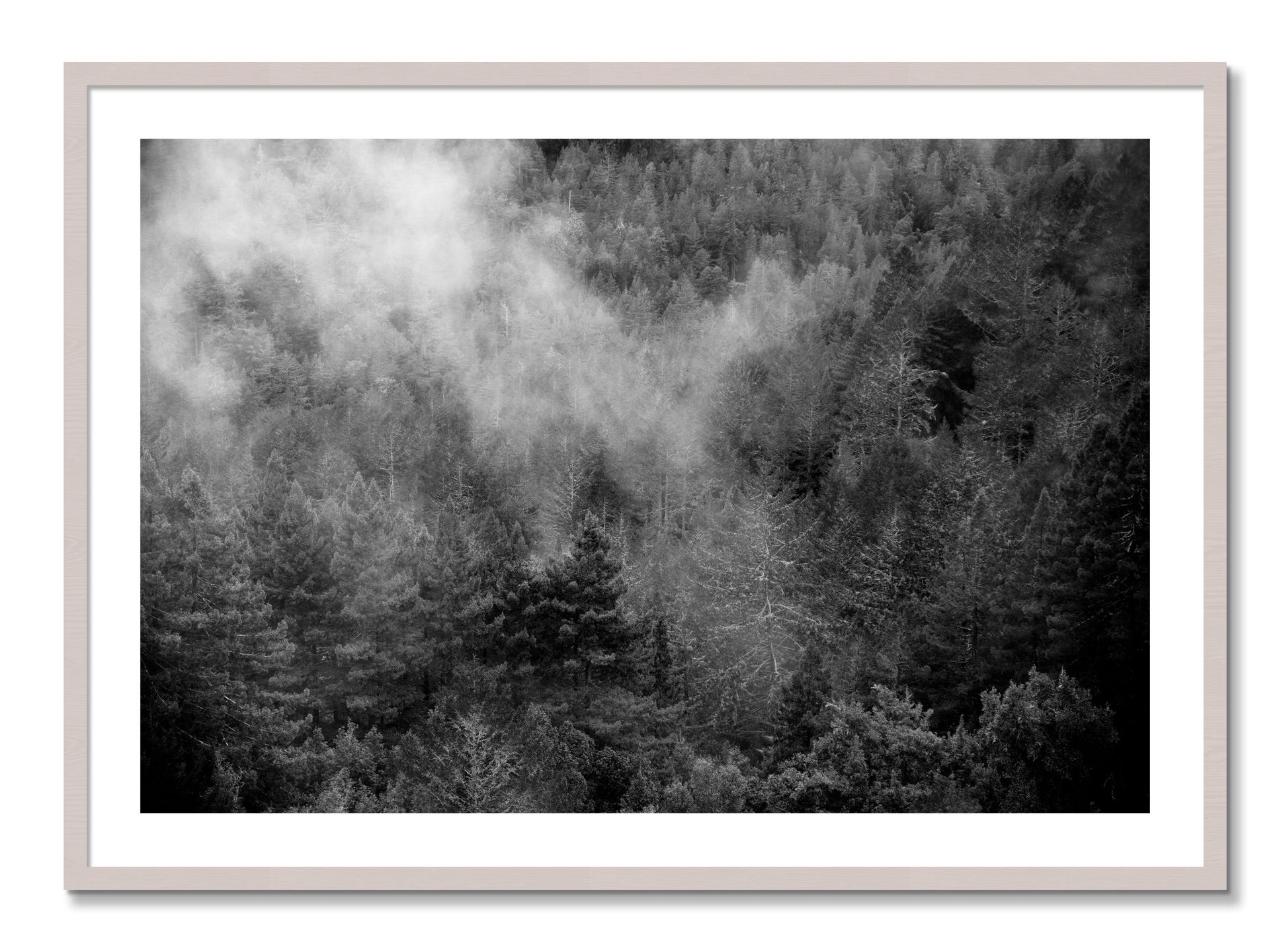 Framed photograph of Muir by Dylan Ozanich, White Maple frame, Borders