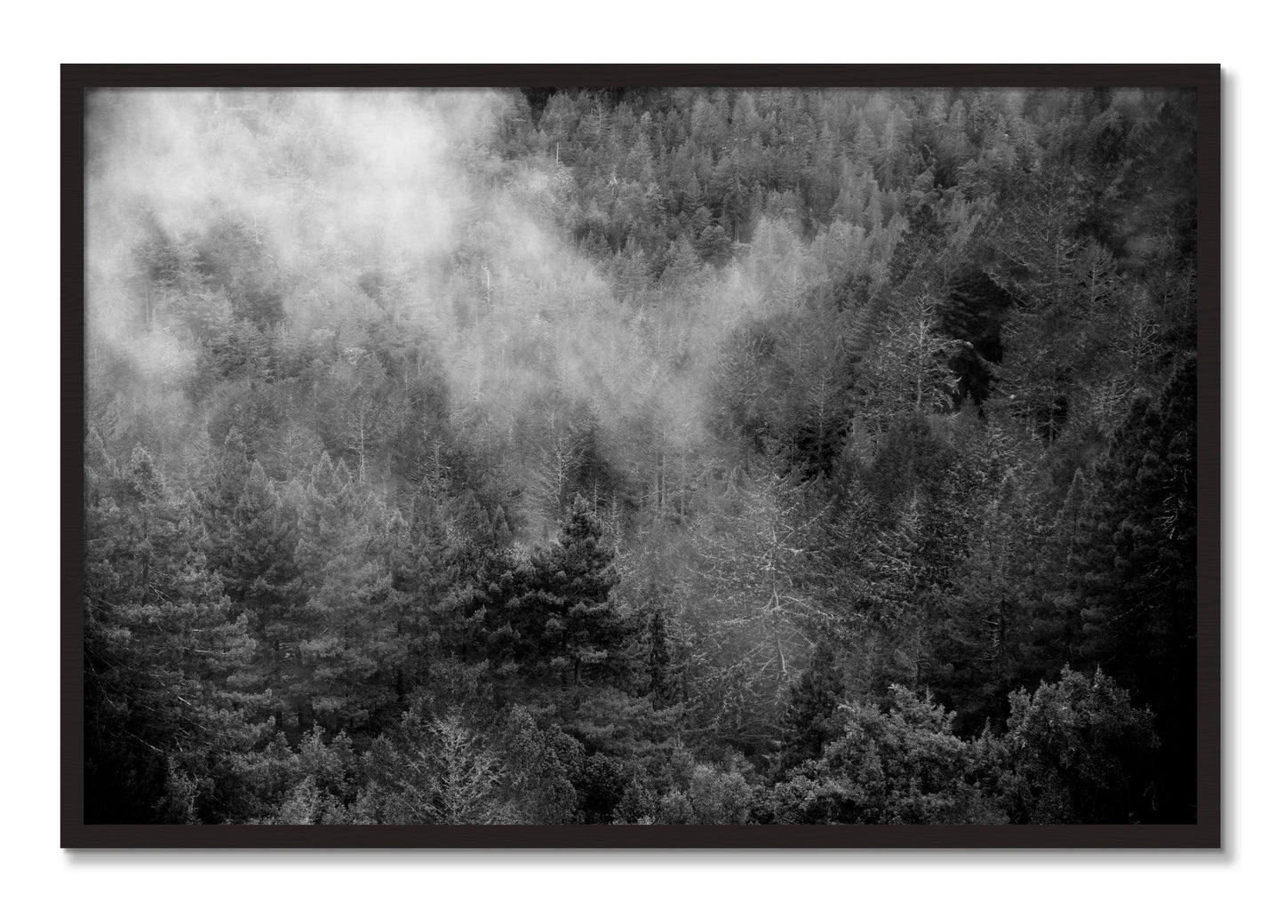 Framed photograph of Muir by Dylan Ozanich, Black Walnut frame, Full Bleed