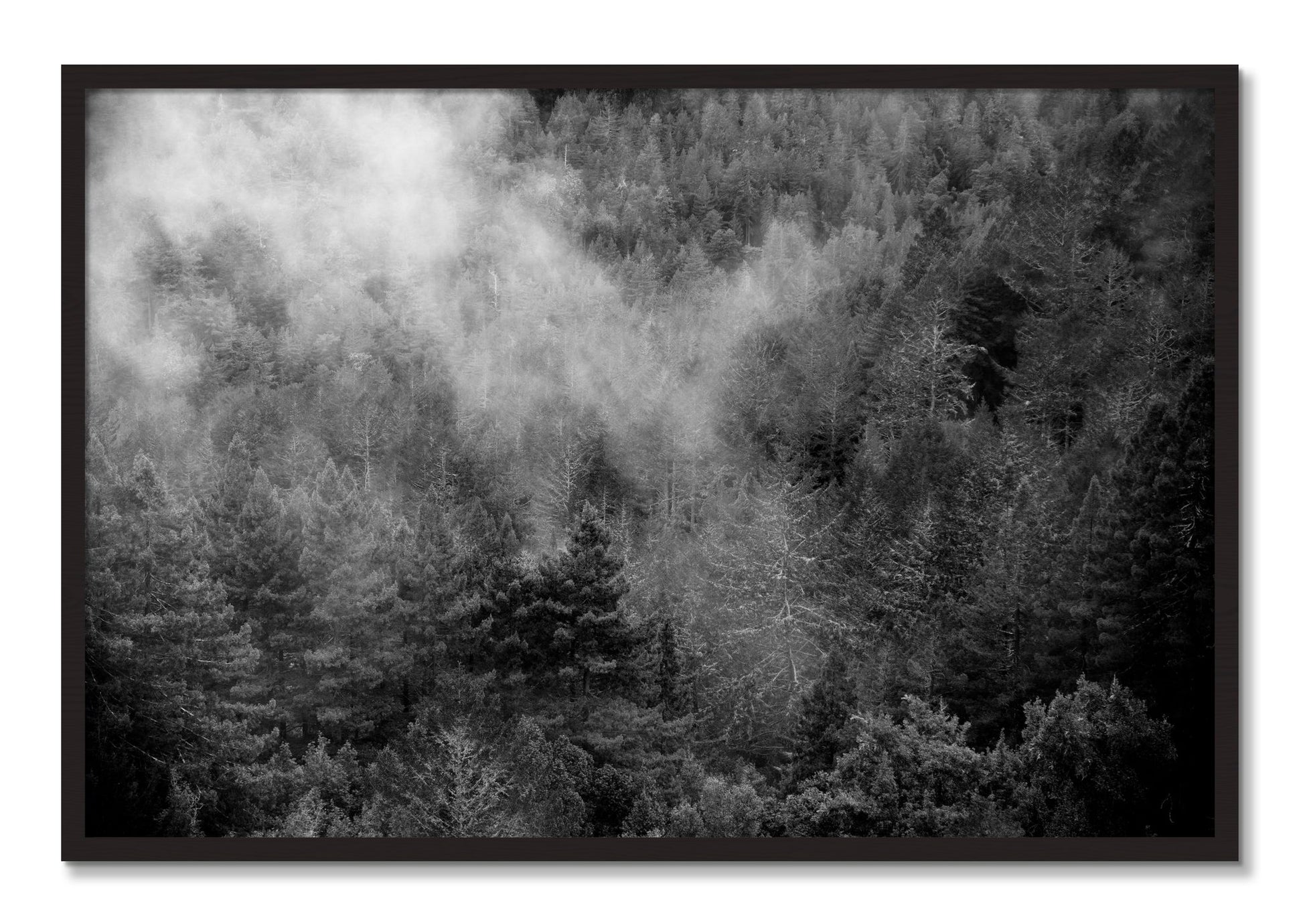 Framed photograph of Muir by Dylan Ozanich, Black Walnut frame, Full Bleed