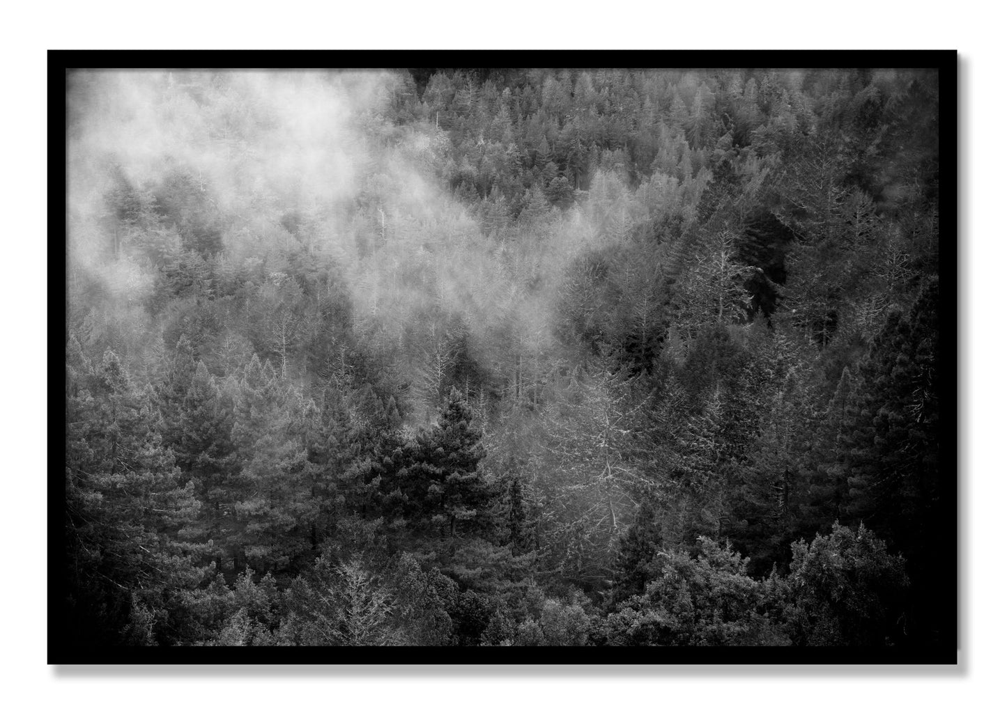 Framed photograph of Muir by Dylan Ozanich, Black frame, Full Bleed