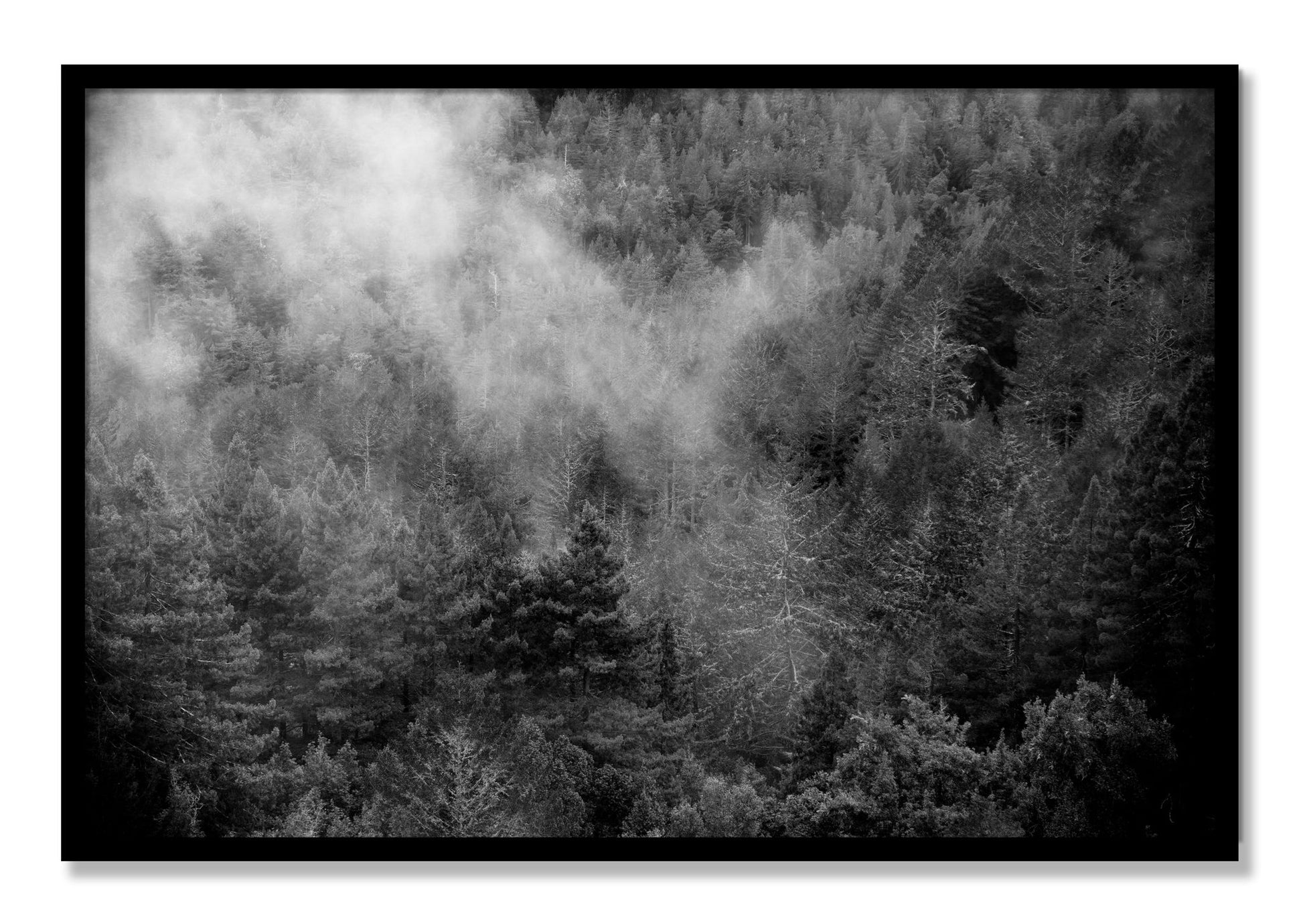 Framed photograph of Muir by Dylan Ozanich, Black frame, Full Bleed