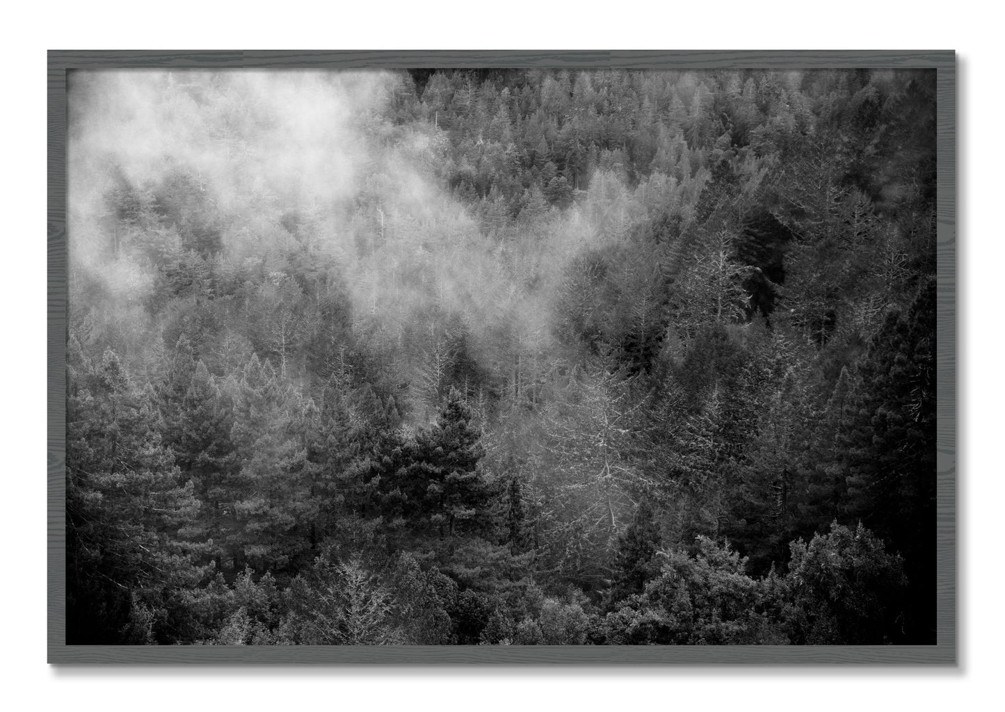 Framed photograph of Muir by Dylan Ozanich, Grey frame, Full Bleed